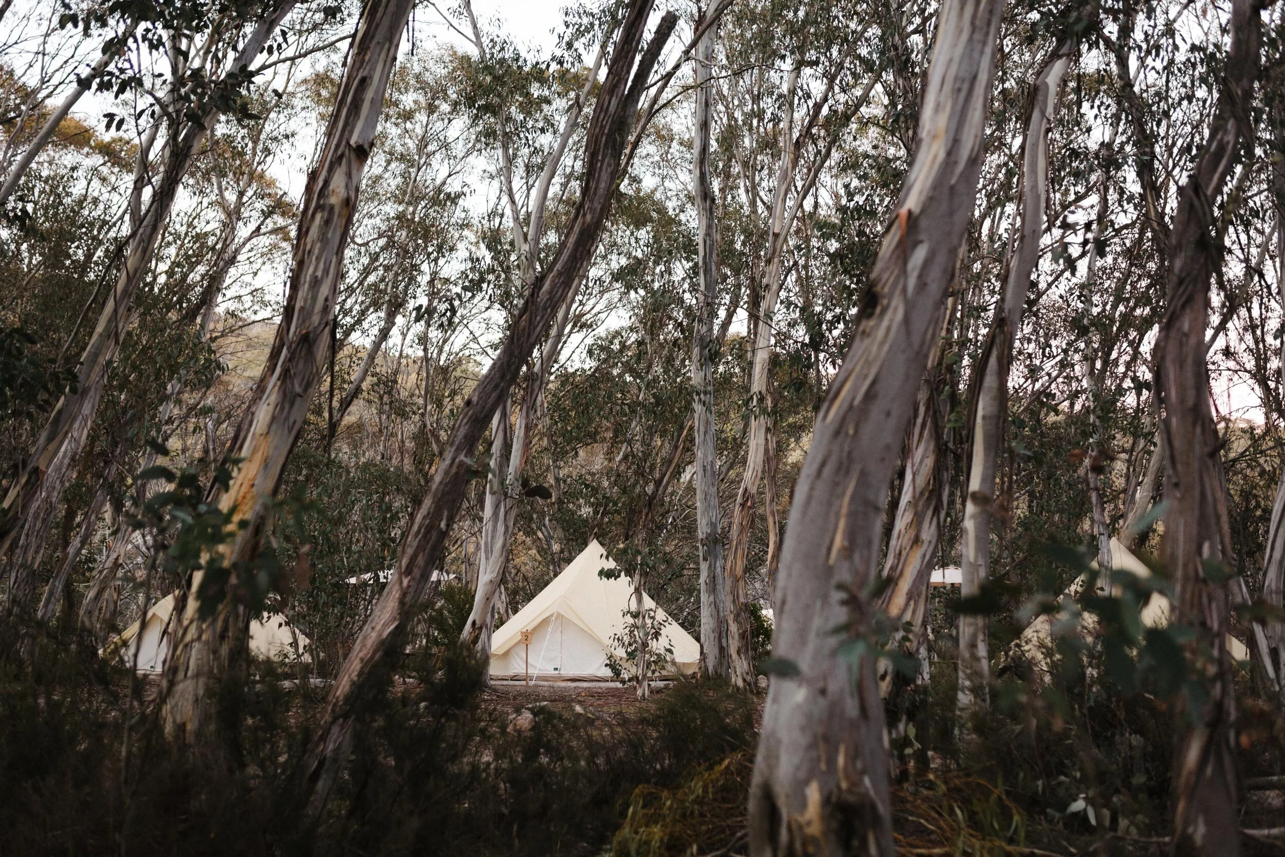 BriHammond-undersky-camping-mt-buffalo6.jpg