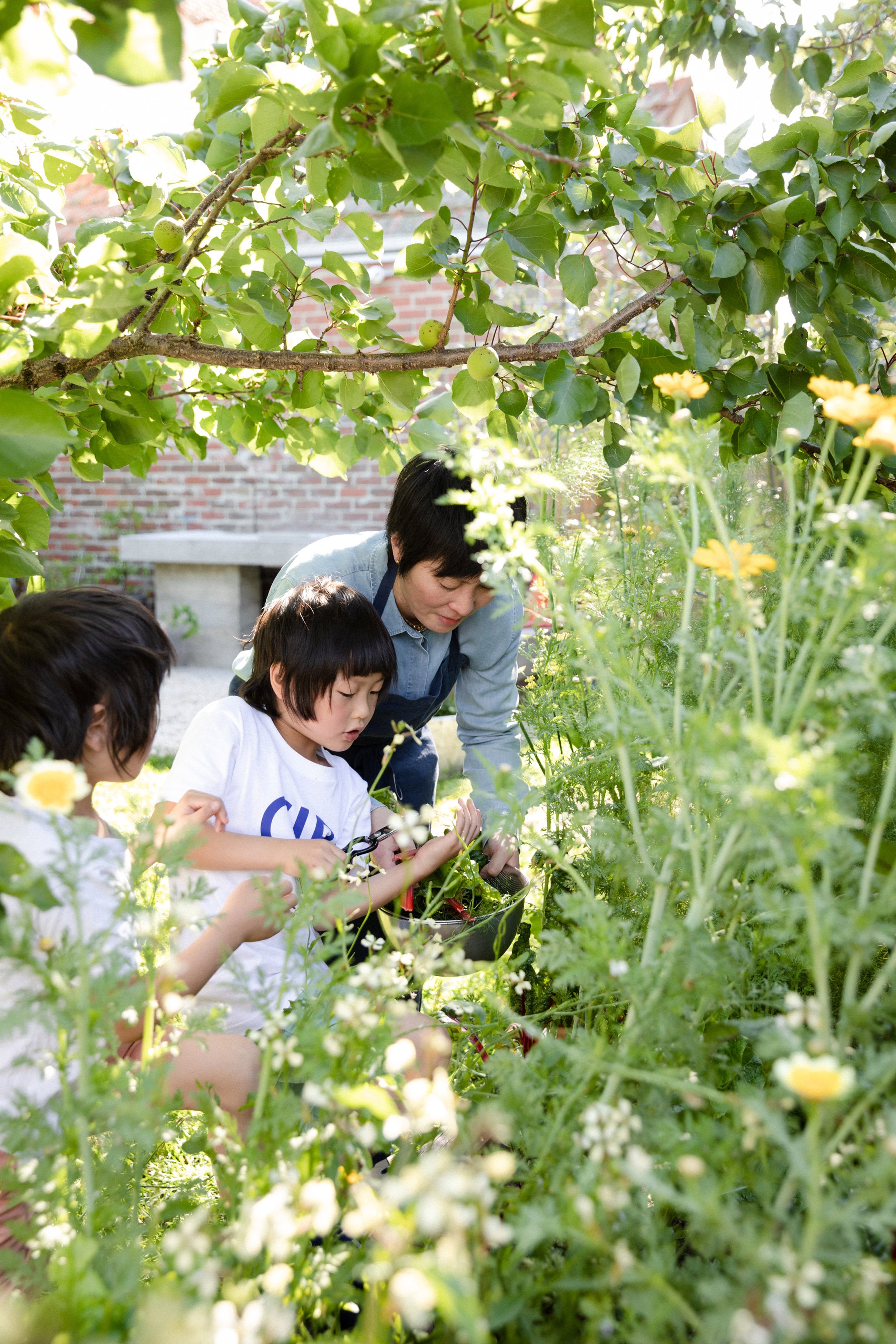 733-Tanaka-Family-TDF-1477-LowRes.jpg