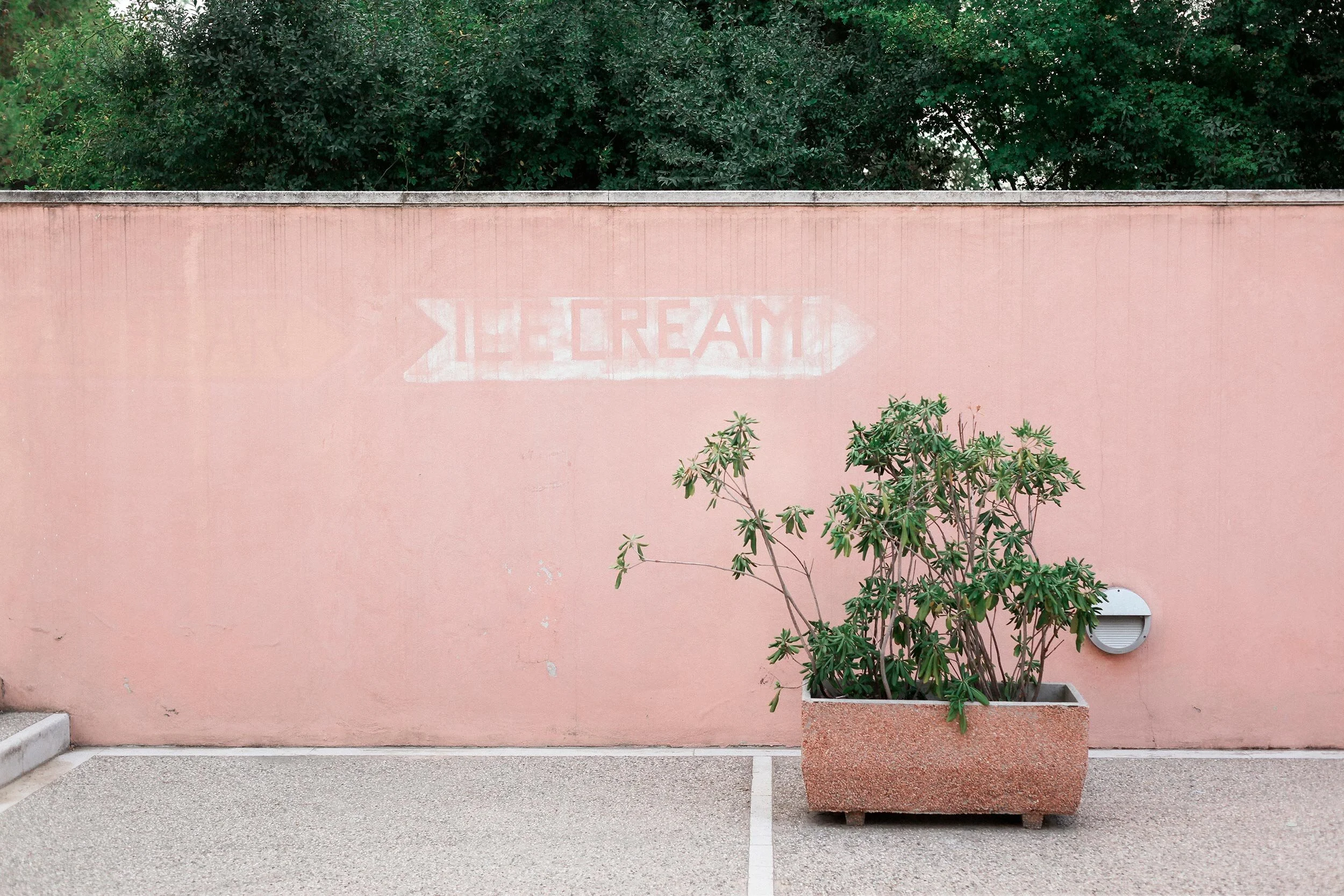 Ice cream
