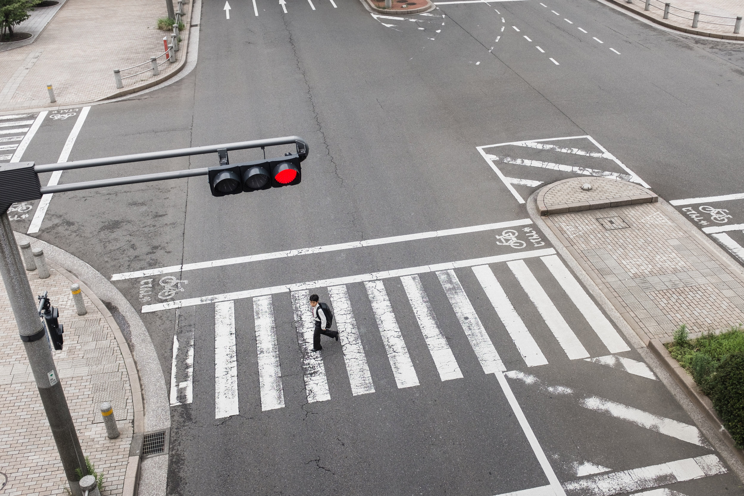 Tokyo crossing