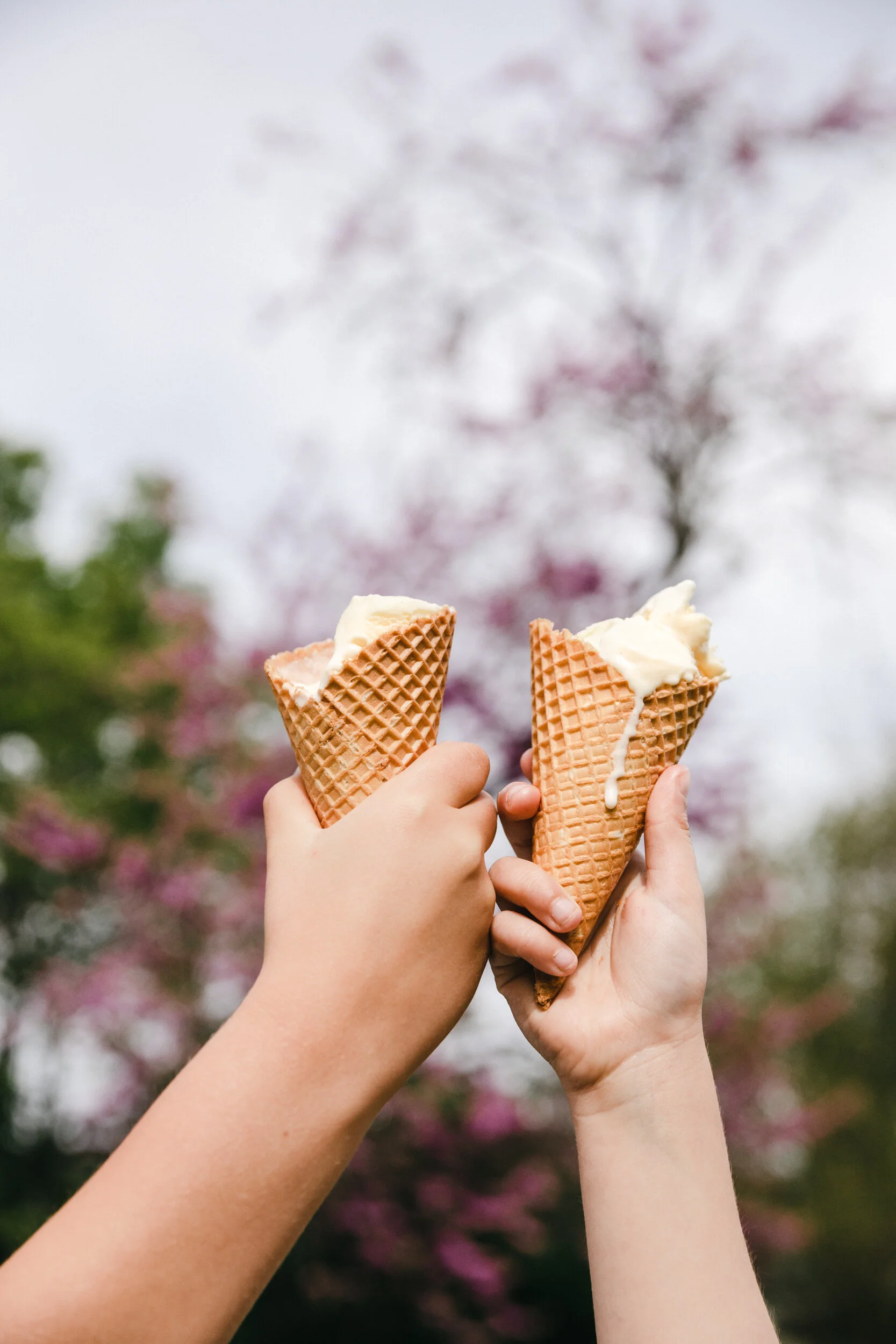 GUNDOWRING ICE CREAM