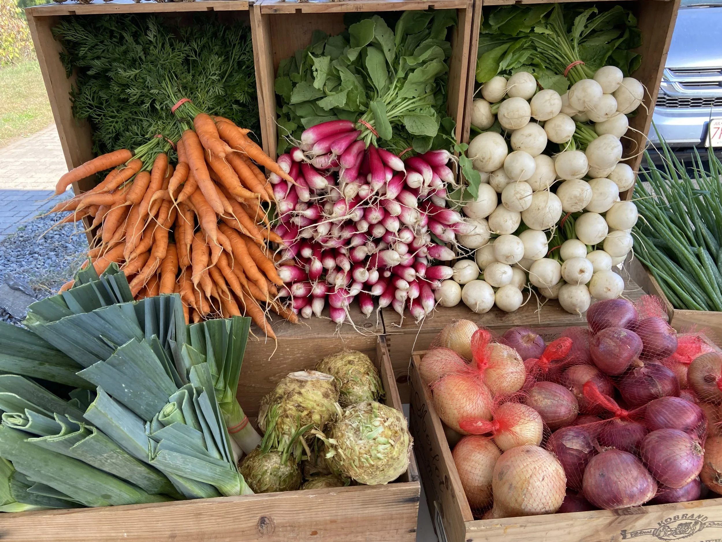 Display of fresh vegetables at a market stand, including carrots, radishes, turnips, onions, and leeks.