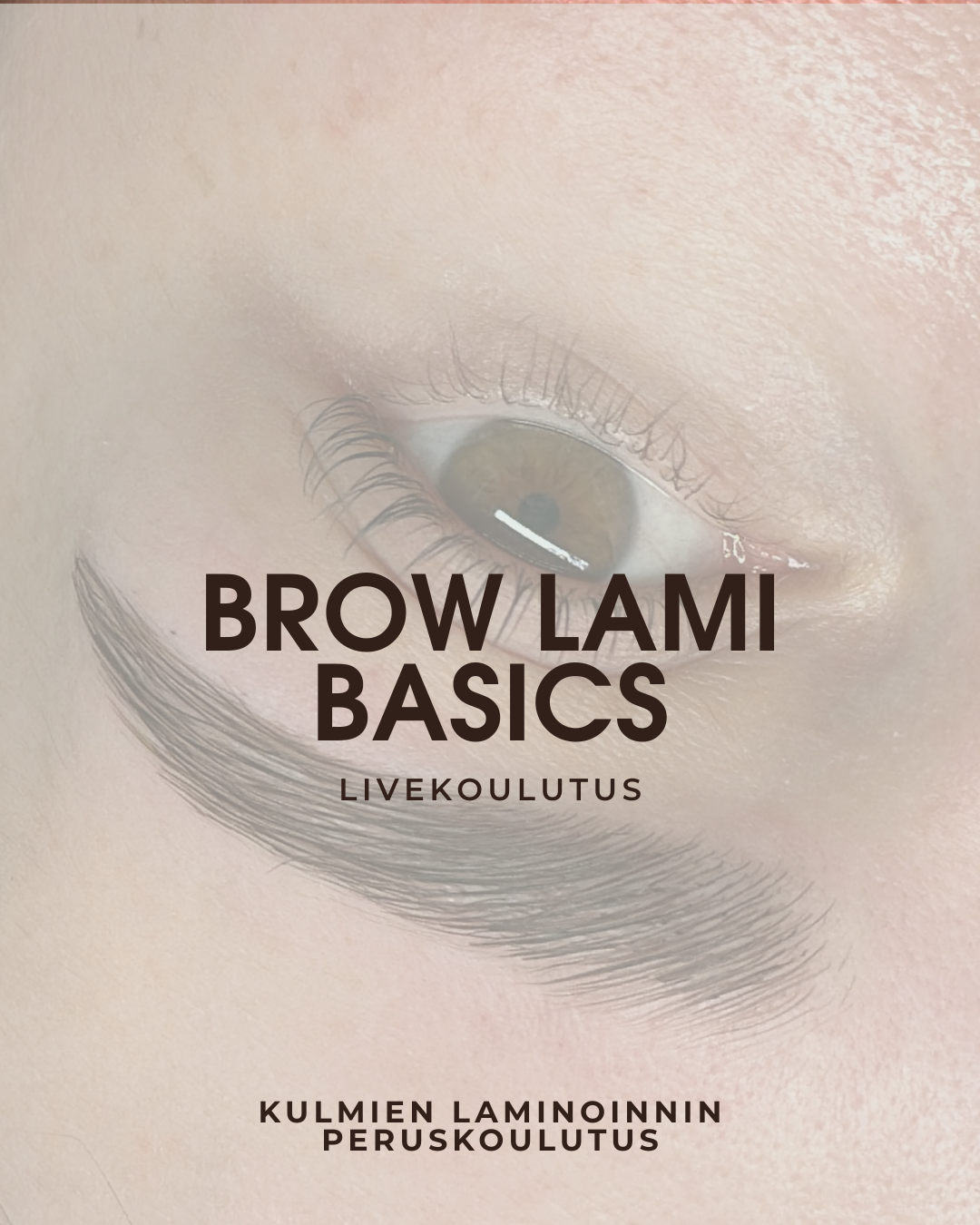 Brow Lami PRO, 1pv