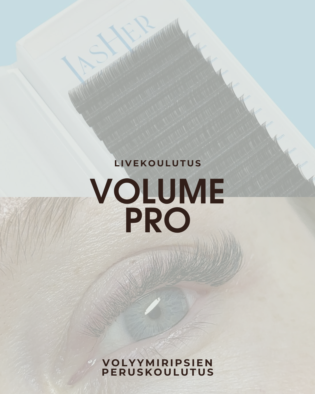 VOLUME Pro, 1pv, 520€