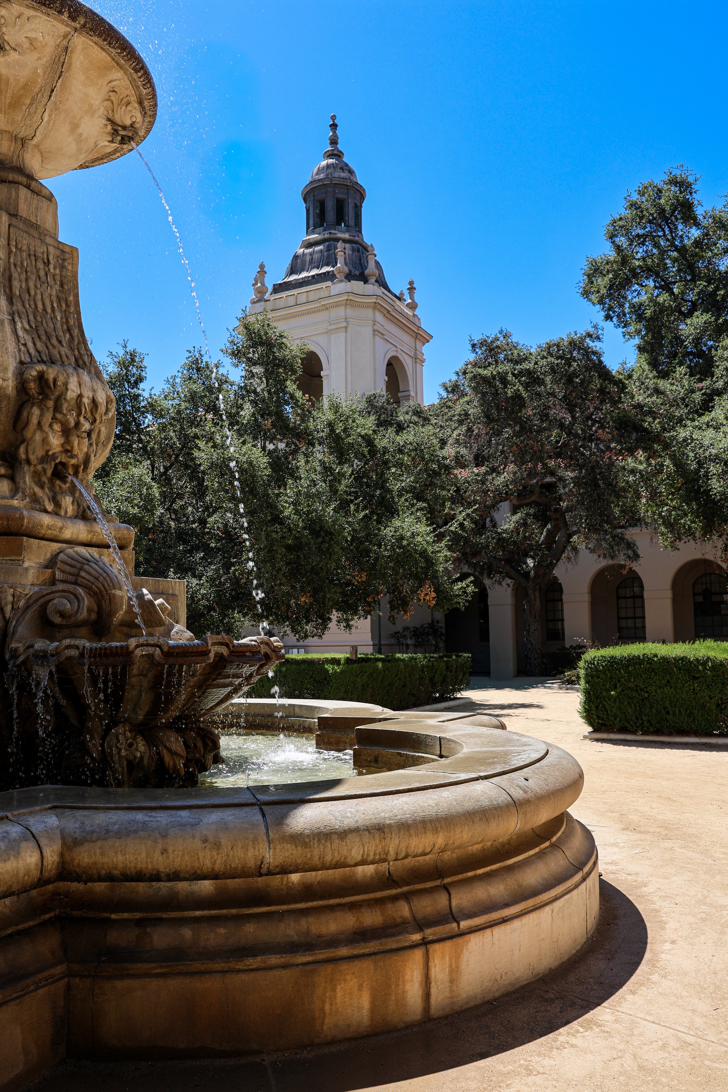 A stone fountain with water flowing from carved lion heads in the foreground, surrounded by trees and bushes. In the background, a white building with a large steeple against a clear blue sky.