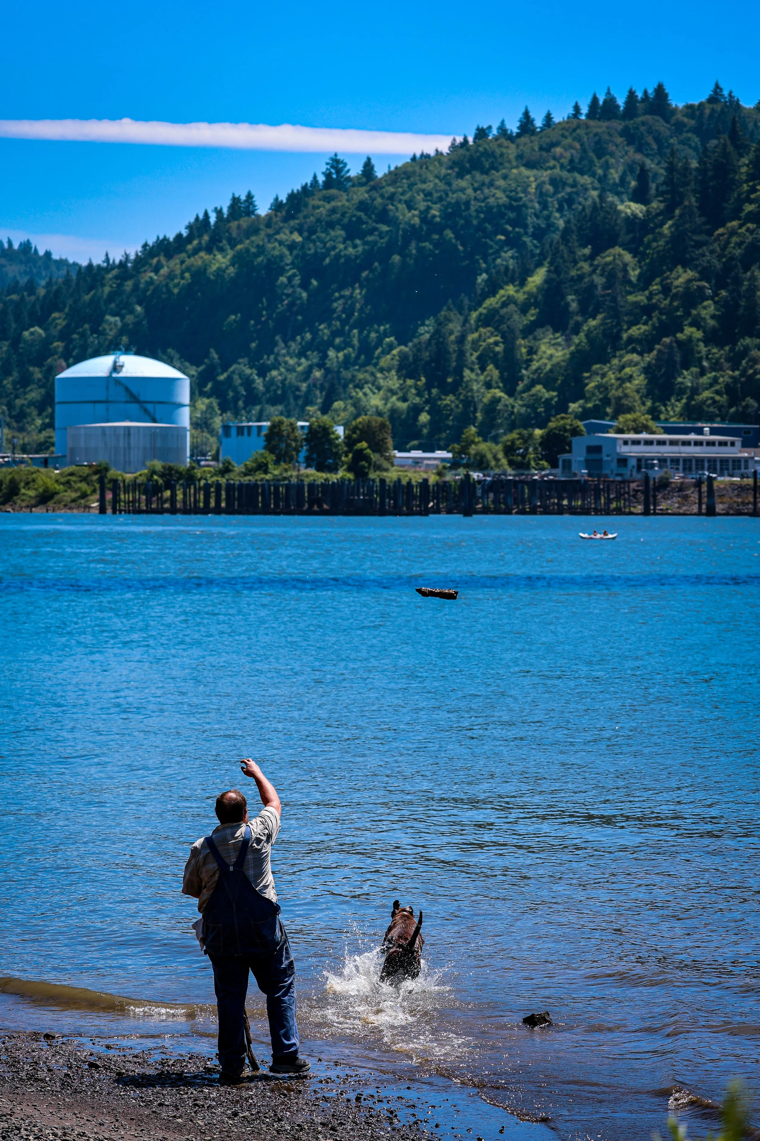 A person in waders or overalls throwing a stick into a body of water, with a dog in the water chasing it. In the background, there are green, tree-covered hills, a building, and a pier. The sky is blue with some clouds.
