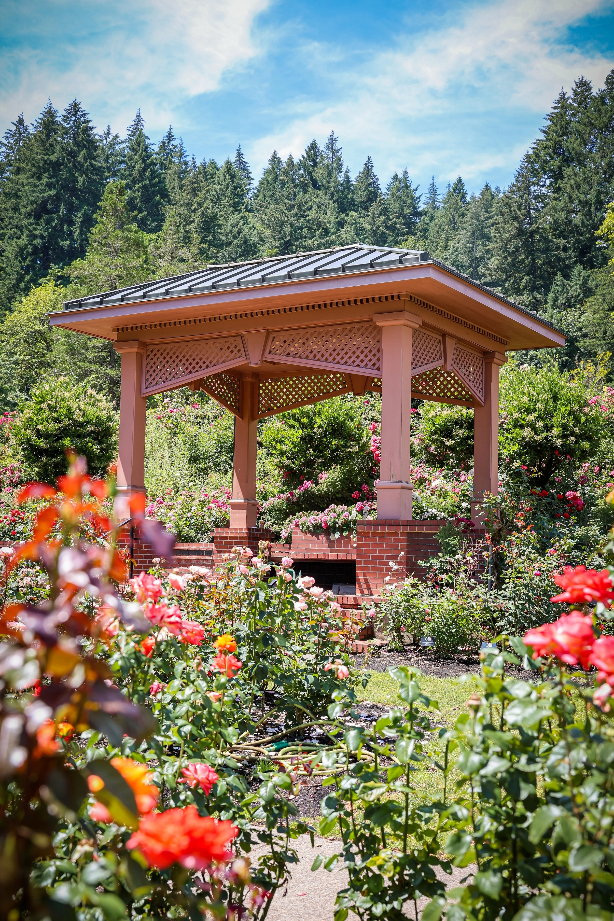 A pink wooden gazebo surrounded by colorful blooming roses in a garden, with green trees and mountains in the background under a partly cloudy sky.