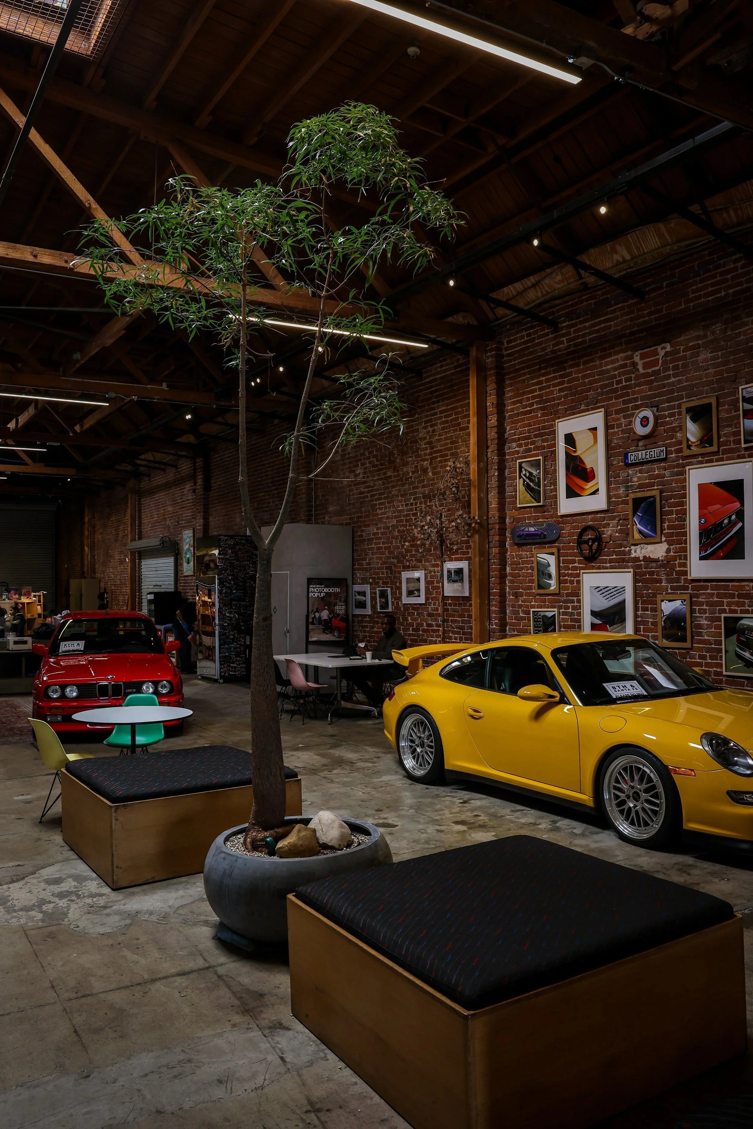 Indoor space with brick walls and a high wooden ceiling, featuring a large potted tree, vintage cars, framed artwork, a counter, and seating areas.