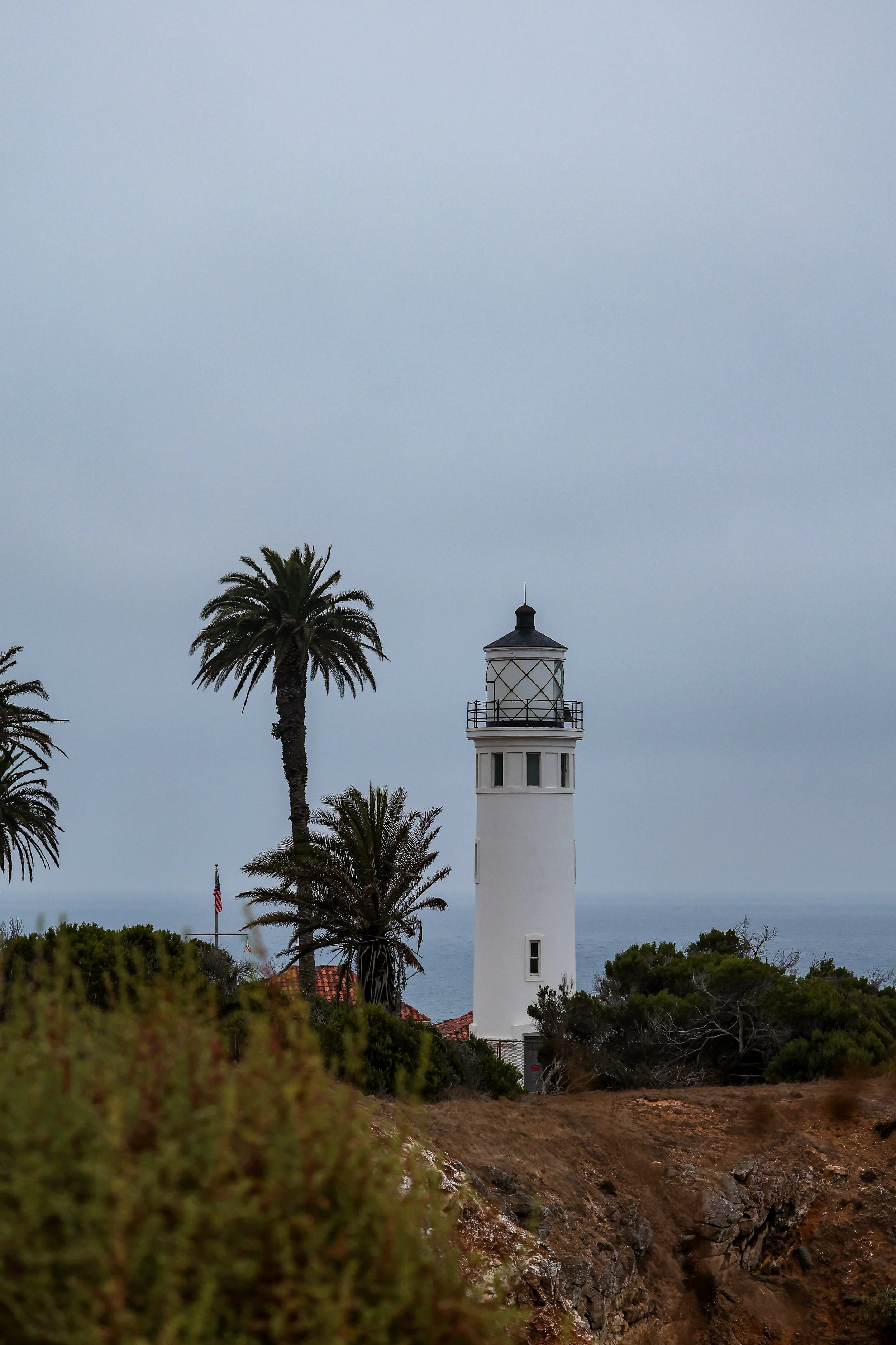 A white lighthouse with a black lantern and railing, surrounded by palm trees and bushes, overlooking the ocean under an overcast sky.