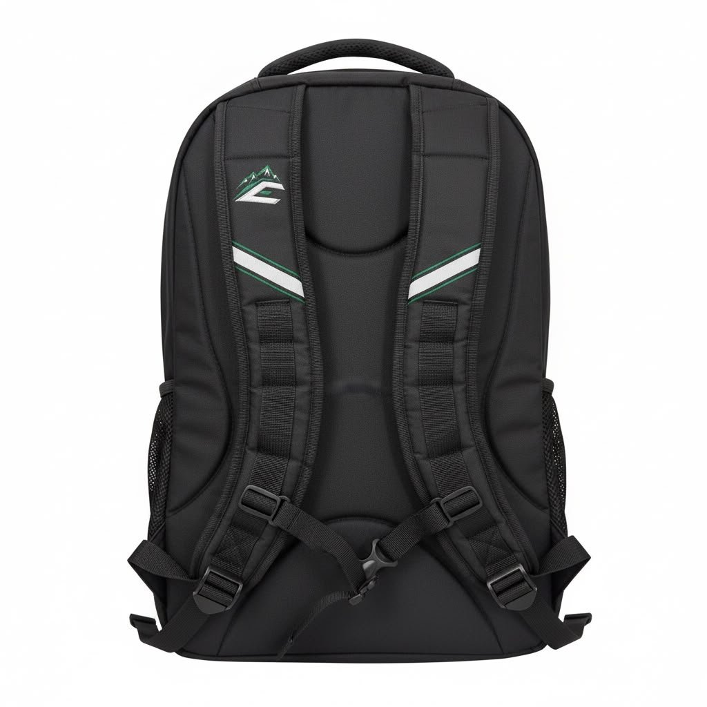 backpack-back.jpg