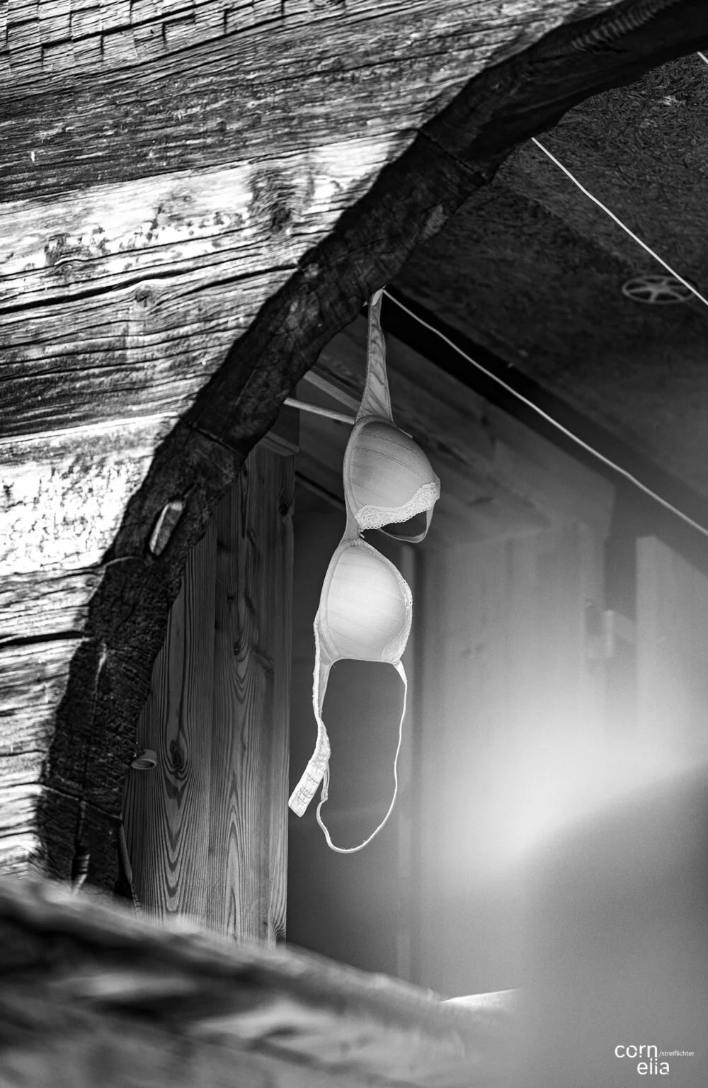 loetschentaler-impressionen-17-1000x1536.jpg