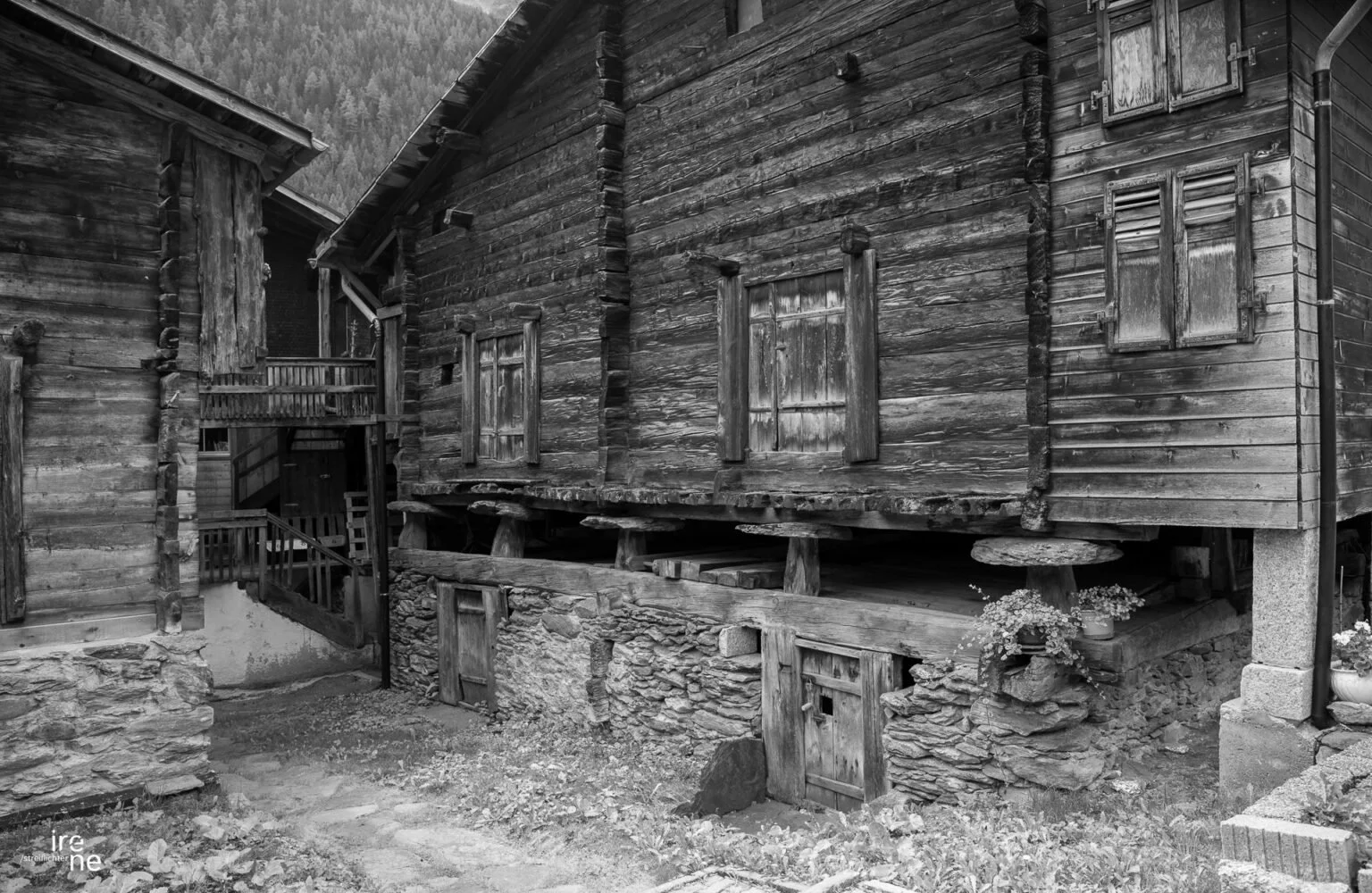 loetschentaler-impressionen-22-1536x1000.jpg