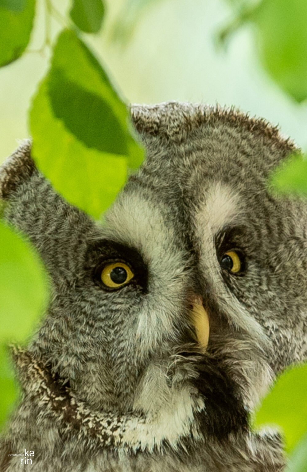 Tierpark Goldau