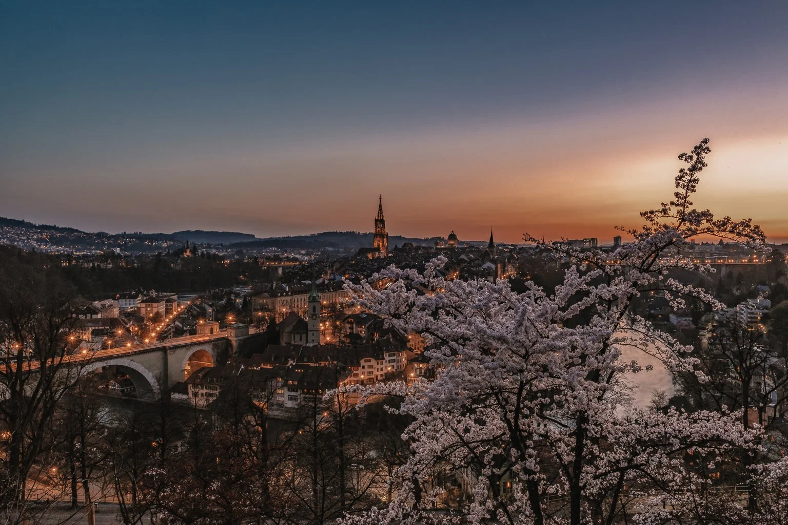 Kirschblüte in Bern