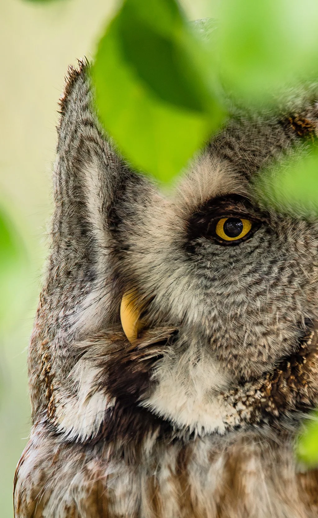 Tierpark Goldau