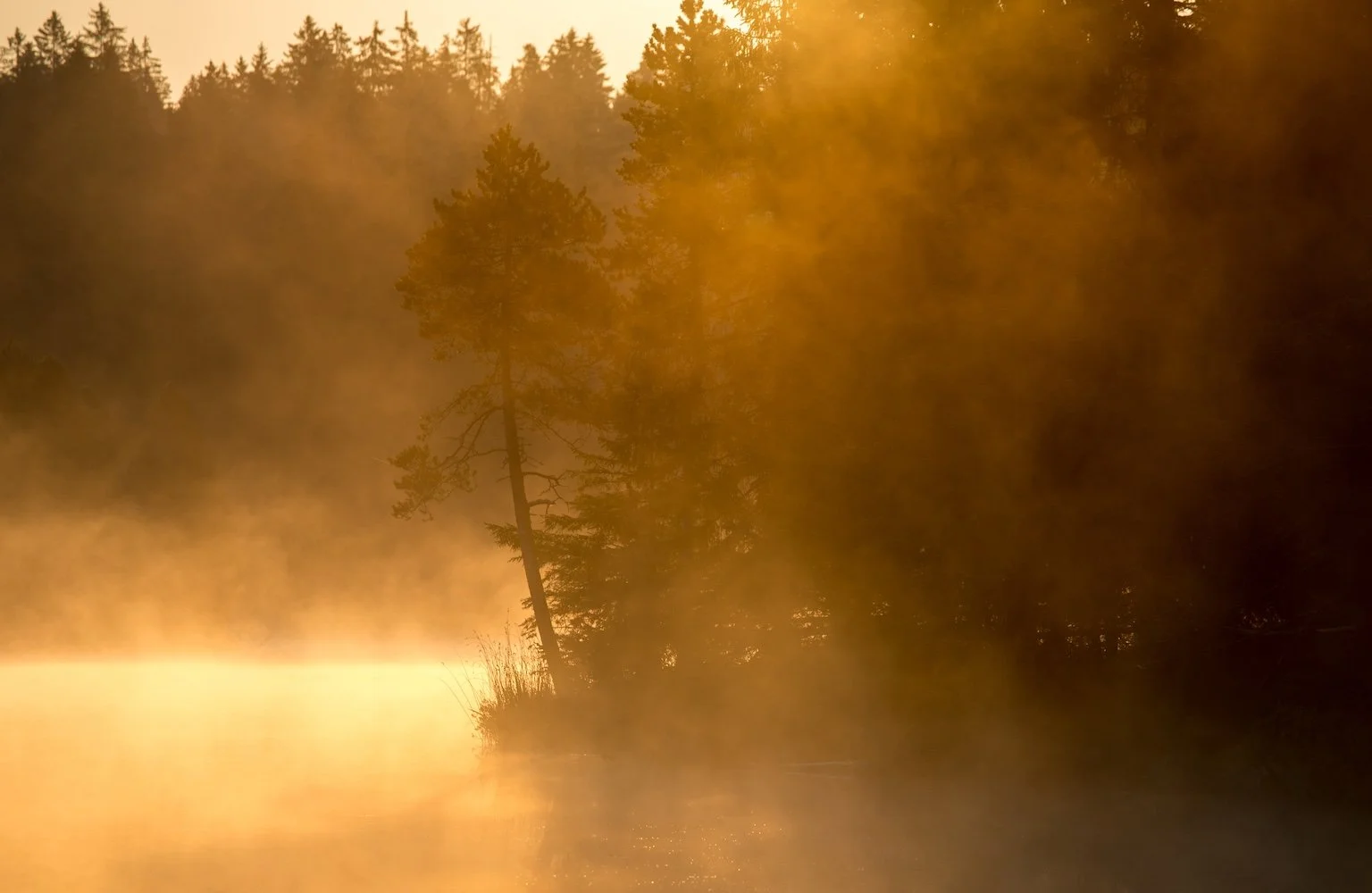 STREIFLICHTER_FOTOBLOG.jpg