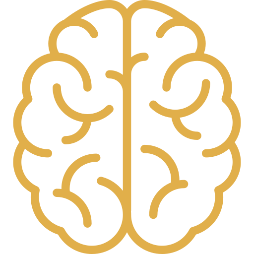 Outline of a human brain in gold color with a minimalistic design.