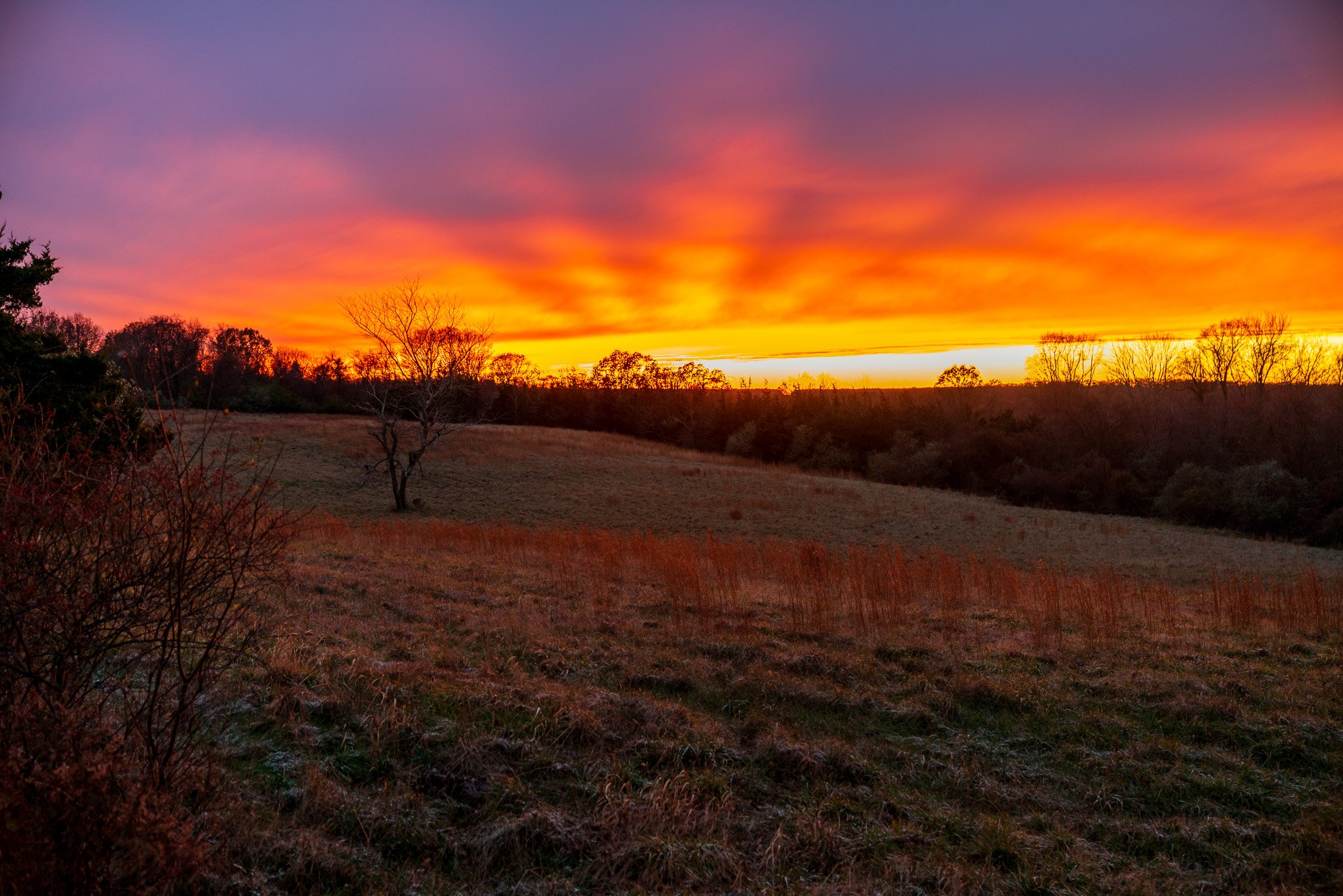 _DSC9969.jpg
