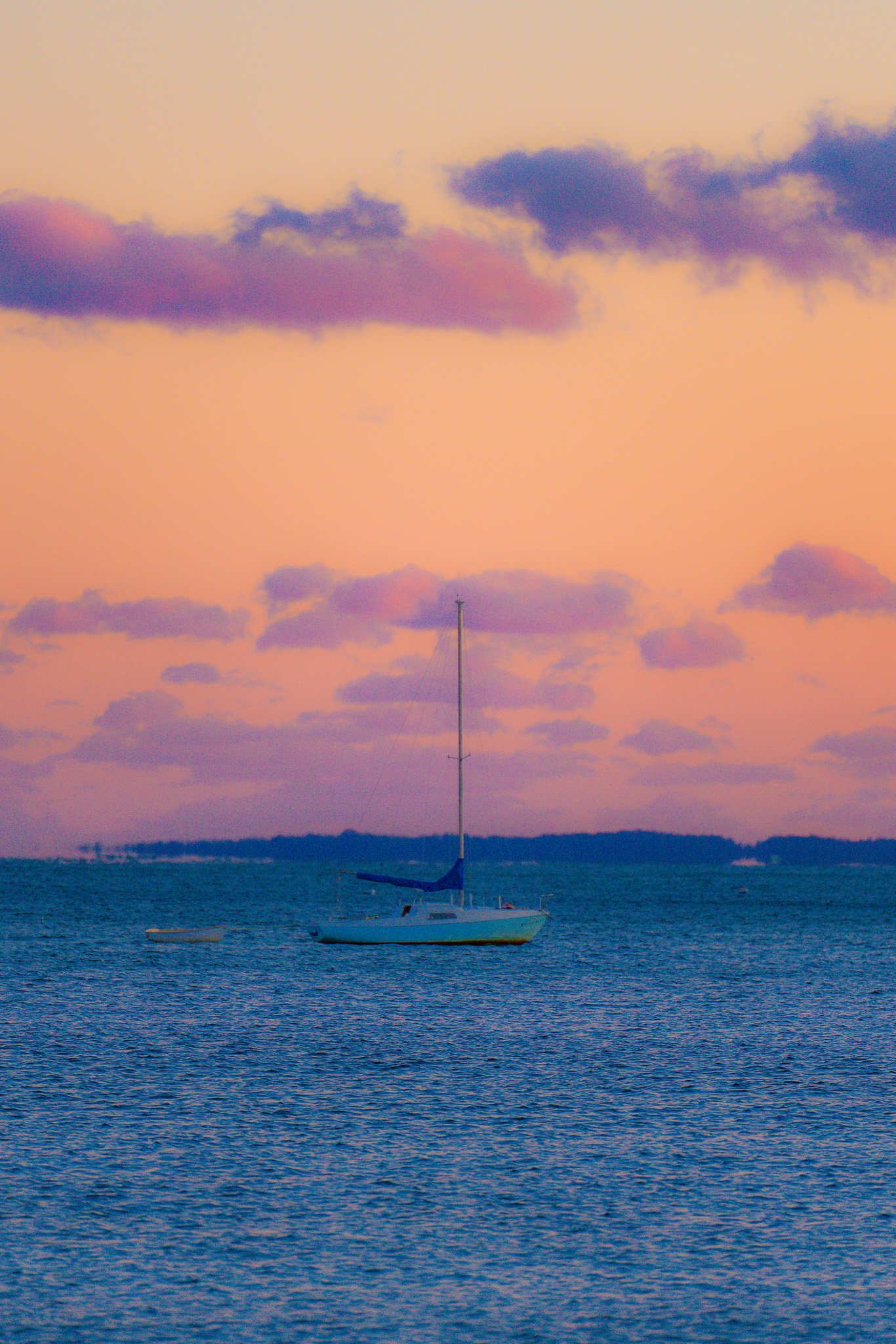 _DSC9236.jpg