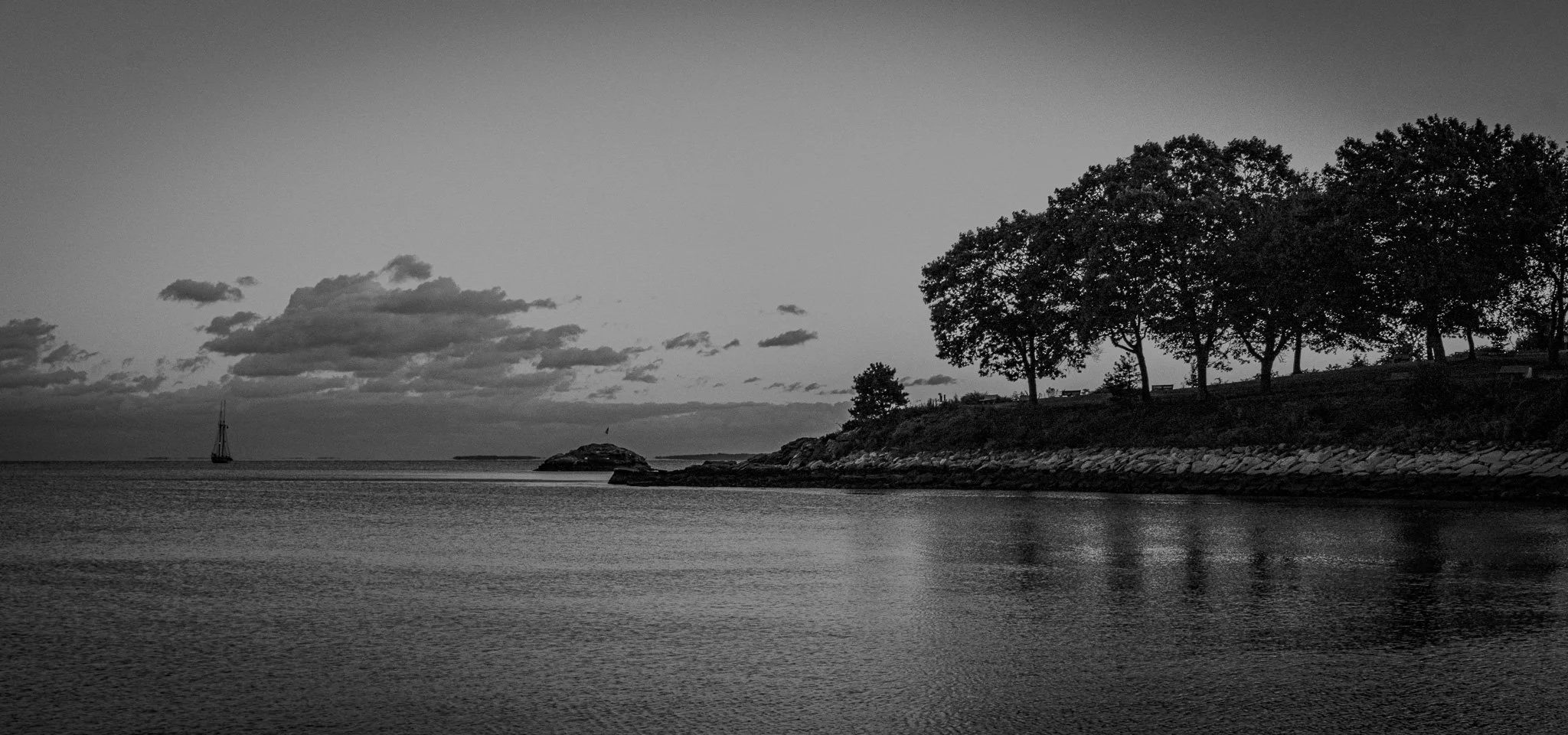 _DSC7606.jpg