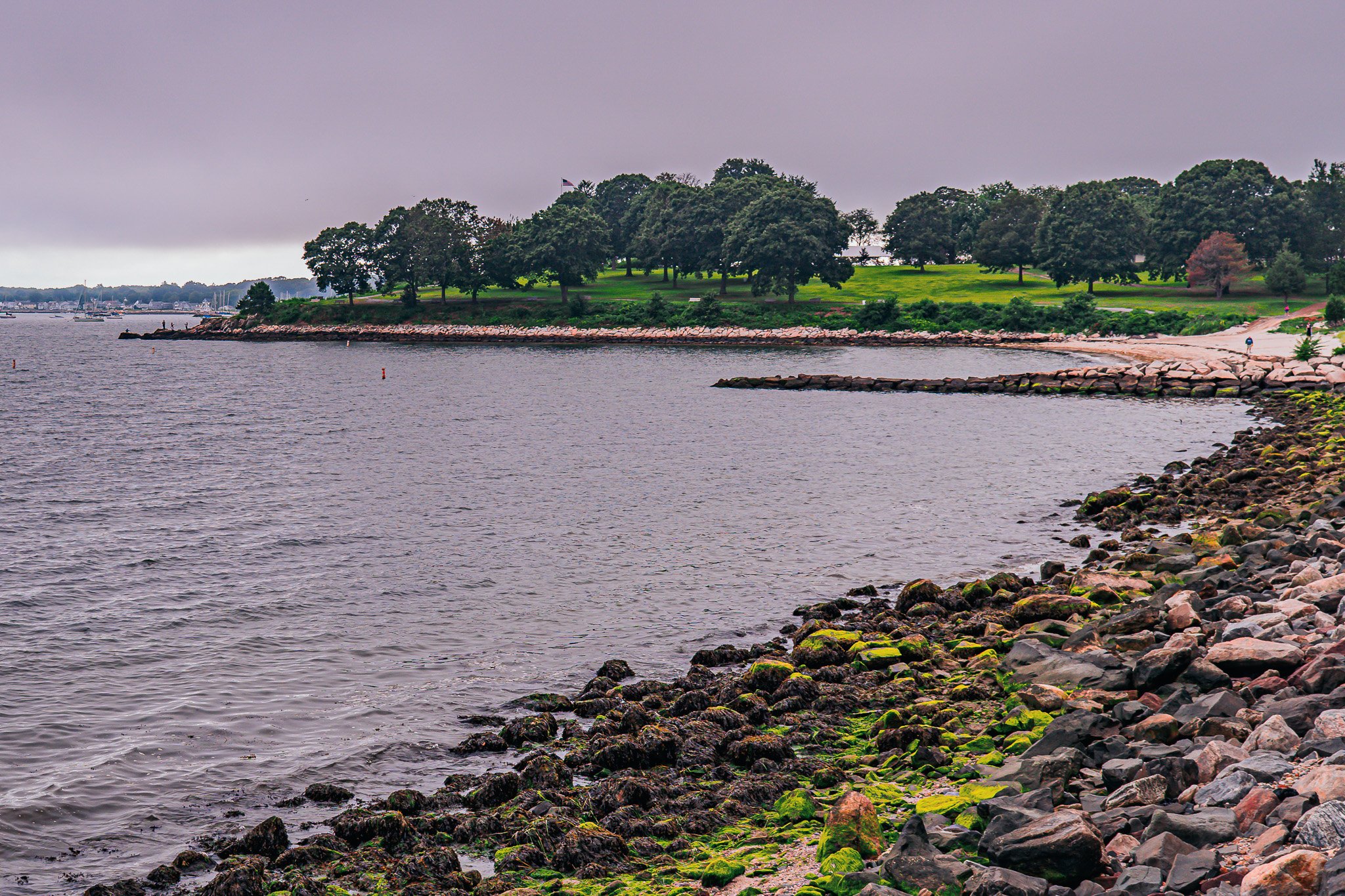 _DSC6513-3.jpg