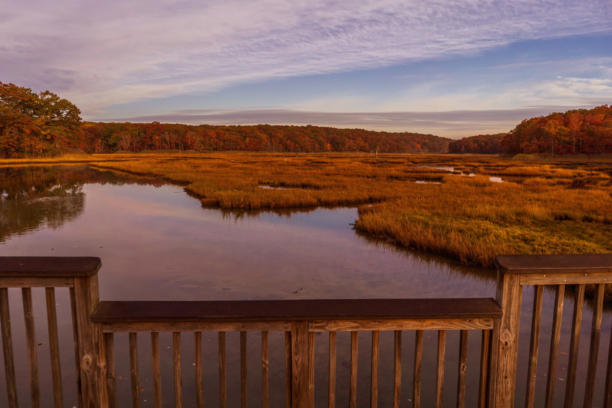 _DSC2519.jpg
