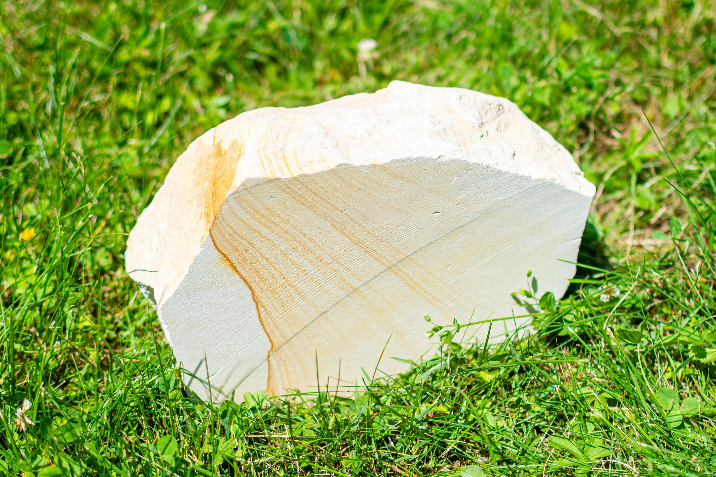Close-up of a large piece of light-colored sandstone resting on green grass with small plants and yellow flowers.