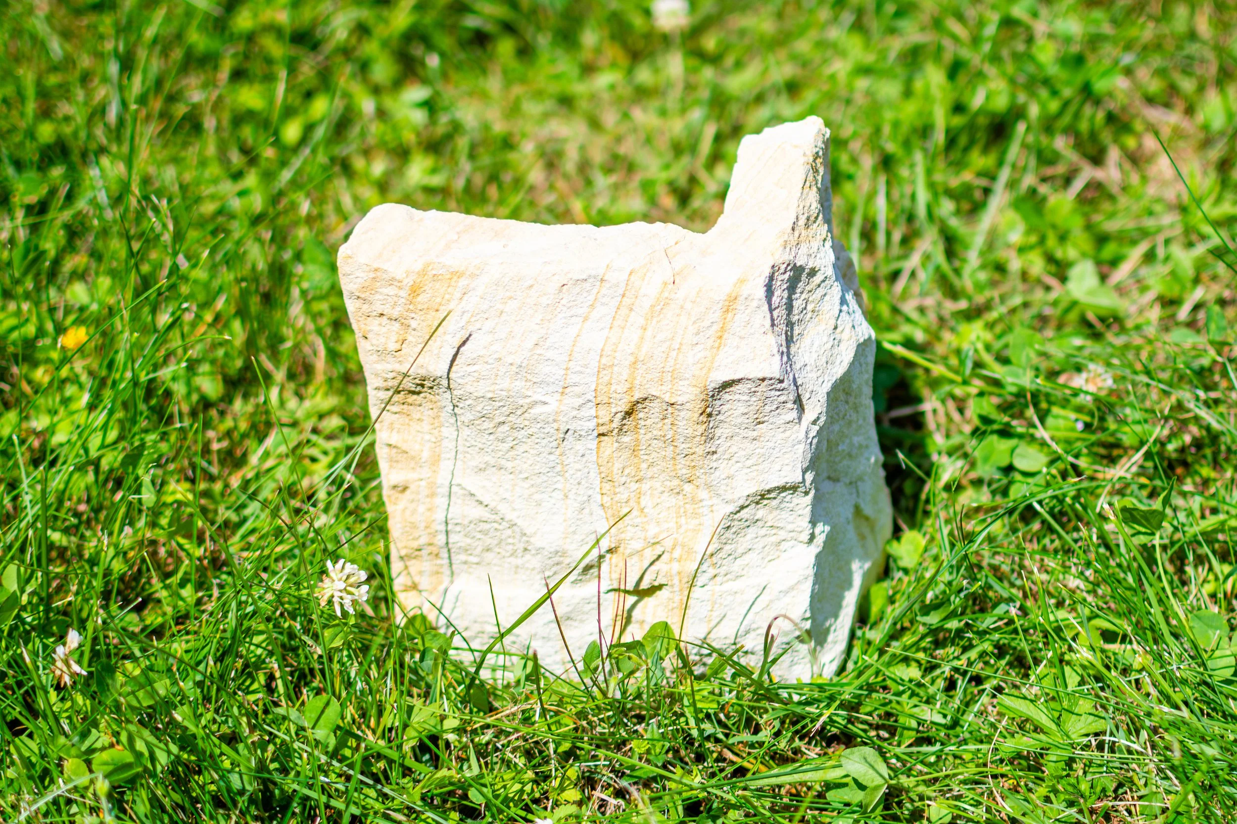 A white stone with a rough surface standing upright in green grass with small white flowers.