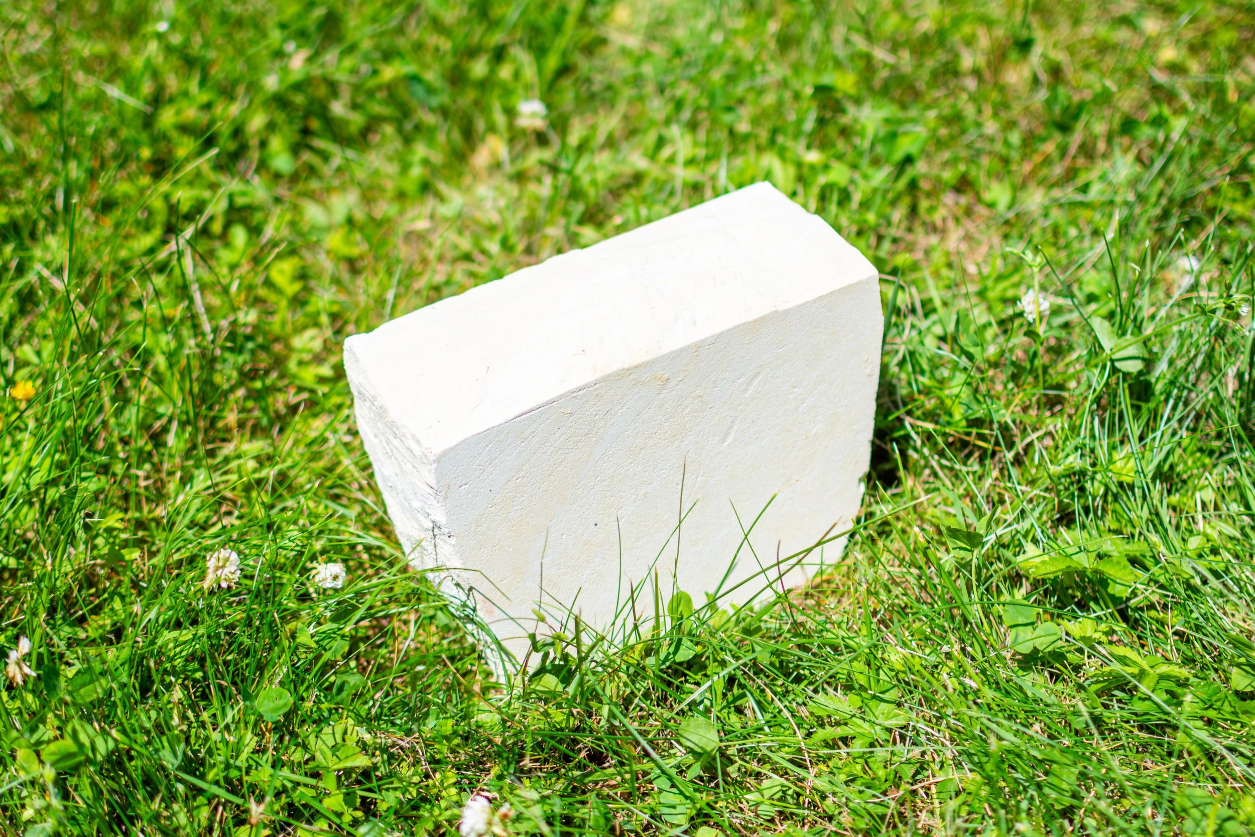 A white rectangular object, possibly a piece of foam or stone, resting upright in a grassy area with green grass and small white flowers.