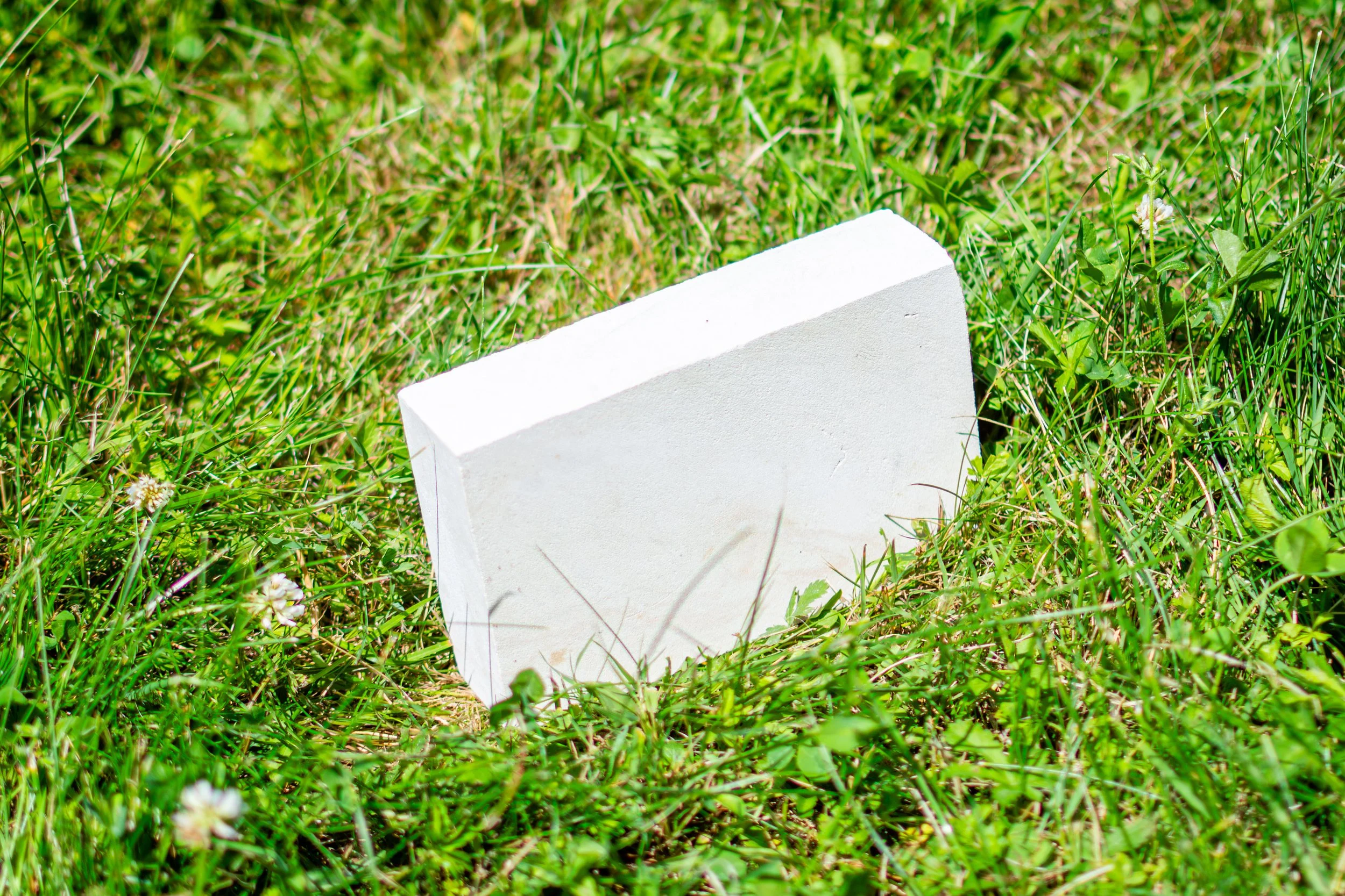 A small white brick or stone marker in green grass with small white flowers.