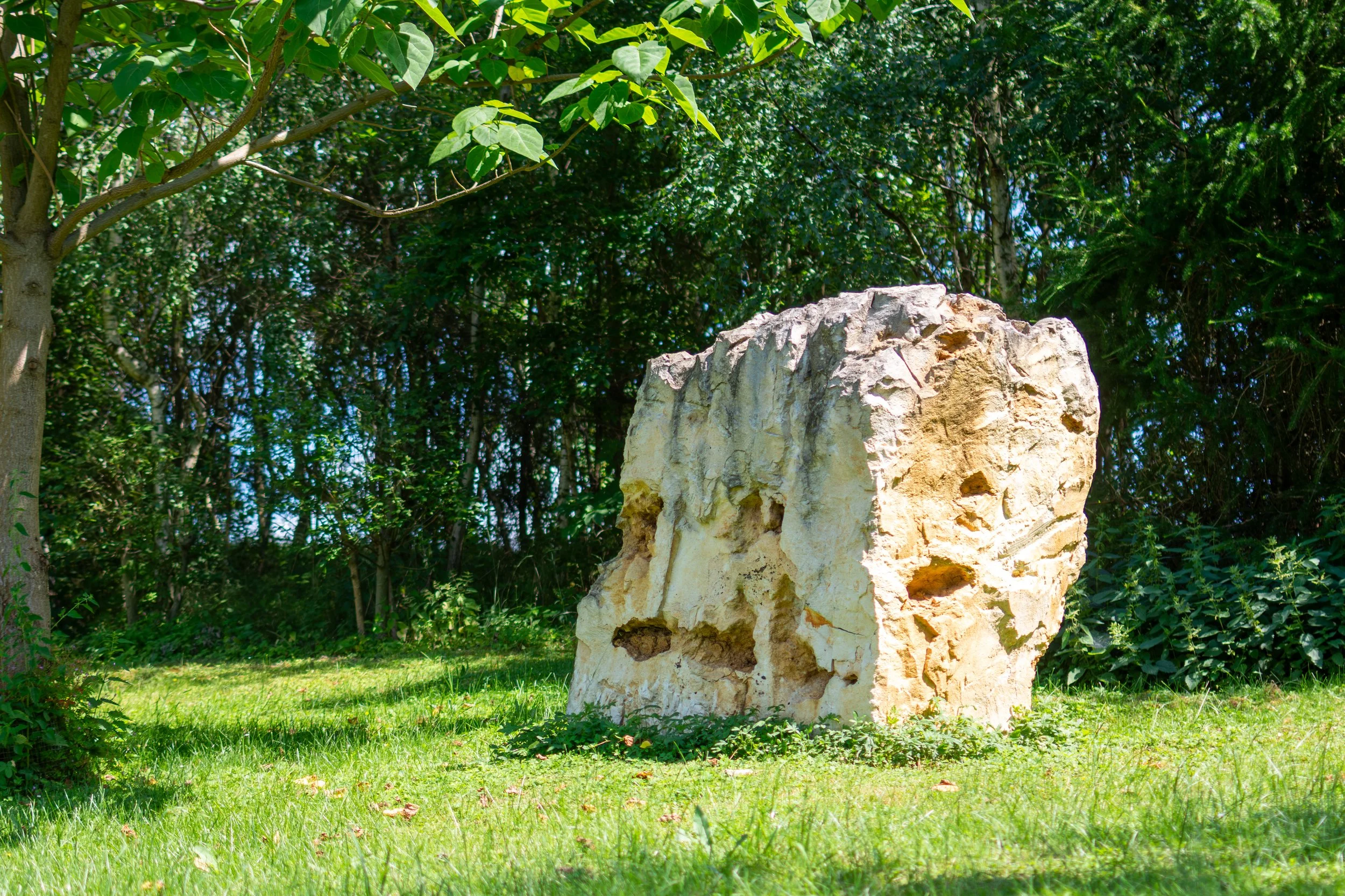A large weathered limestone rock on grass near a tree with green leaves, in a dense wooded area.