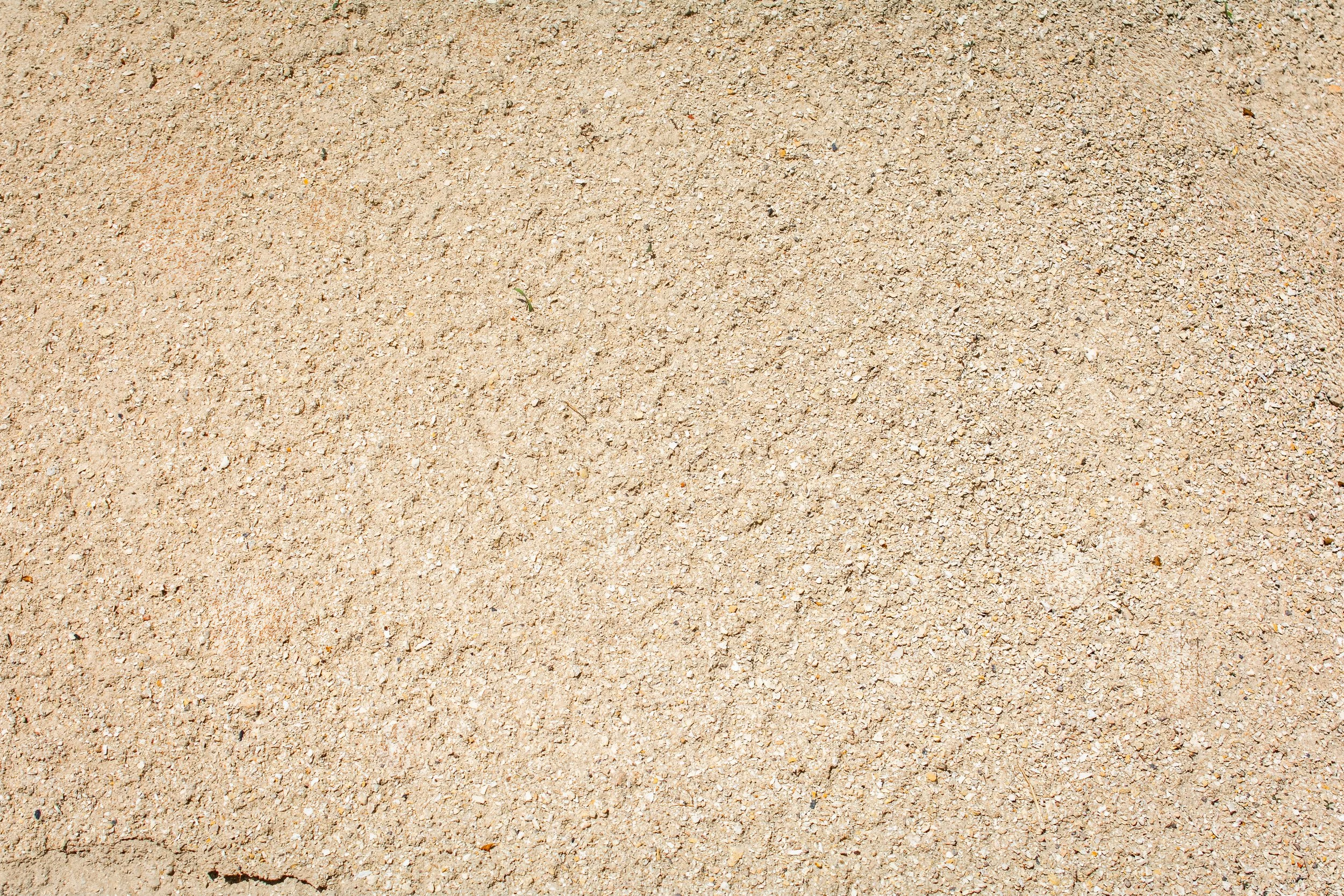 Close-up of a sandy, gravelly ground surface with small pebbles and a few scattered tiny green plants.