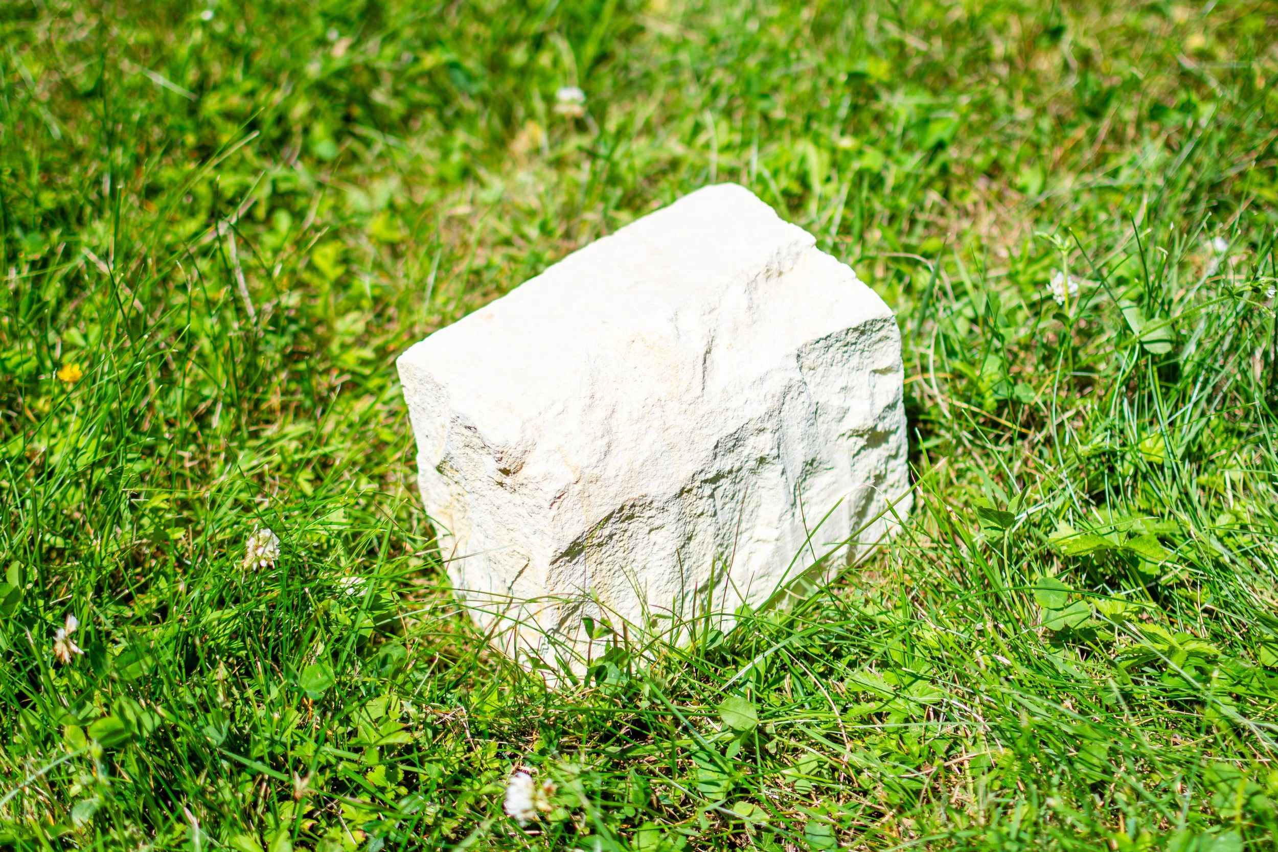 A white marker stone on green grass.