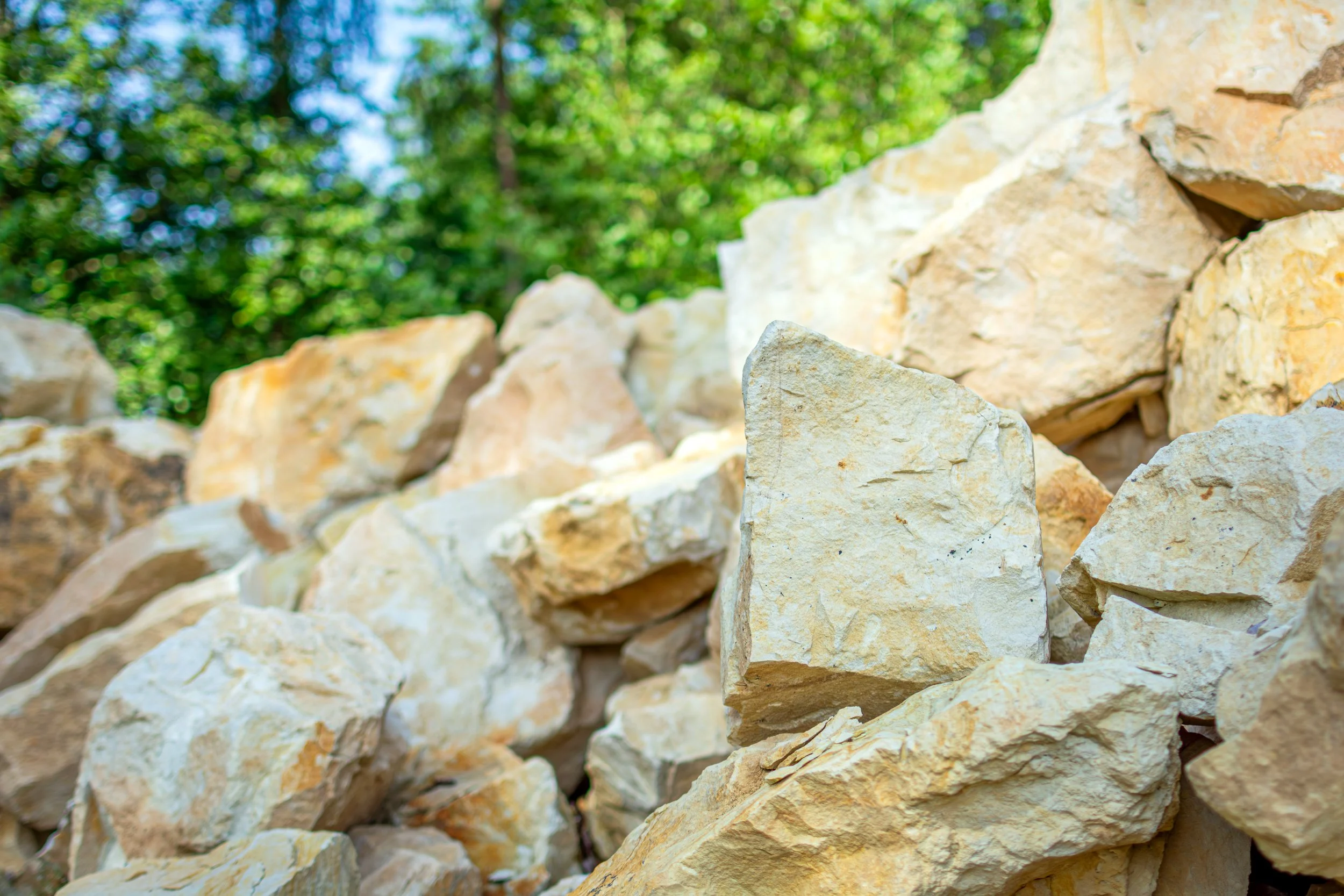 A close-up view of stacked light-colored rocks or stones outdoors with green leafy trees and blue sky in the background.