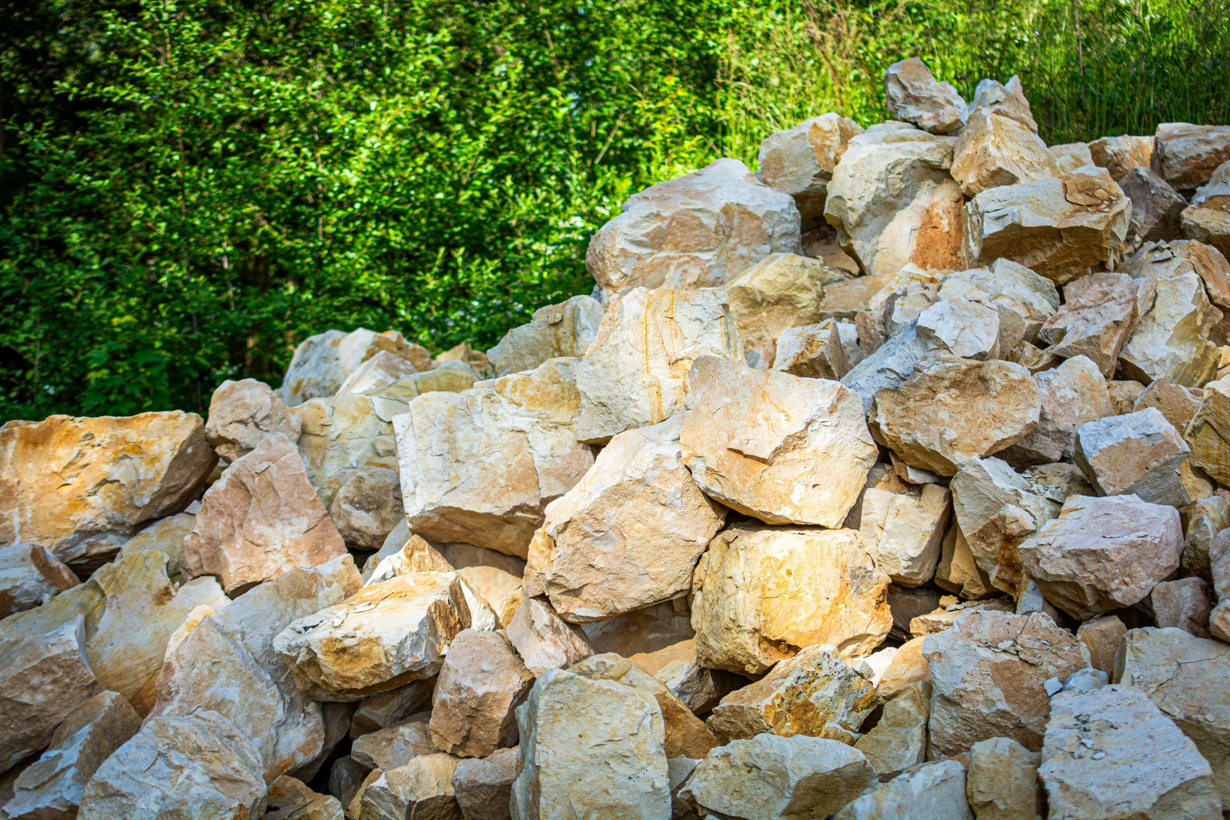 Pile of light-colored rocks with a green leafy background.