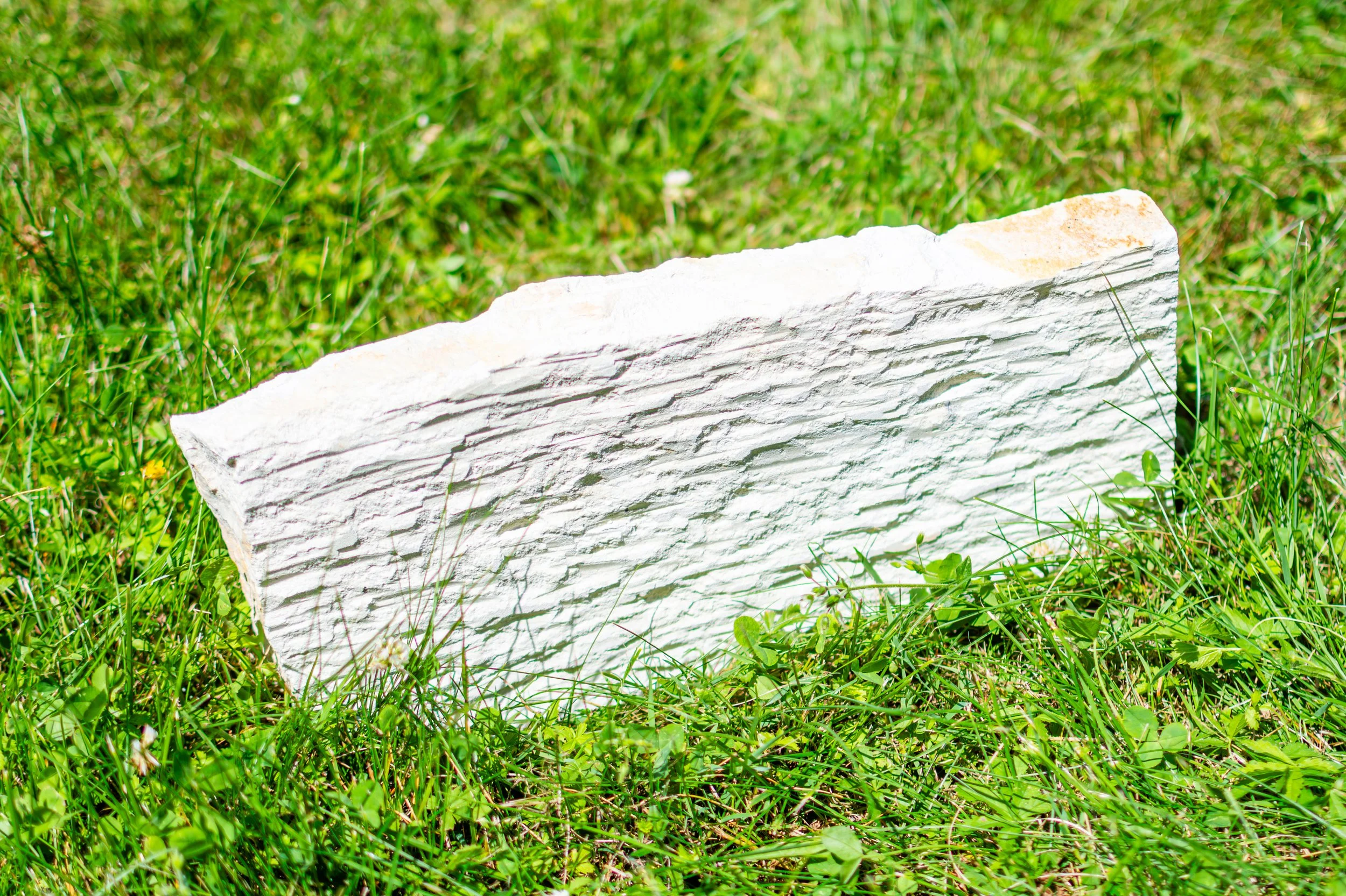 A white stone lying in green grass.