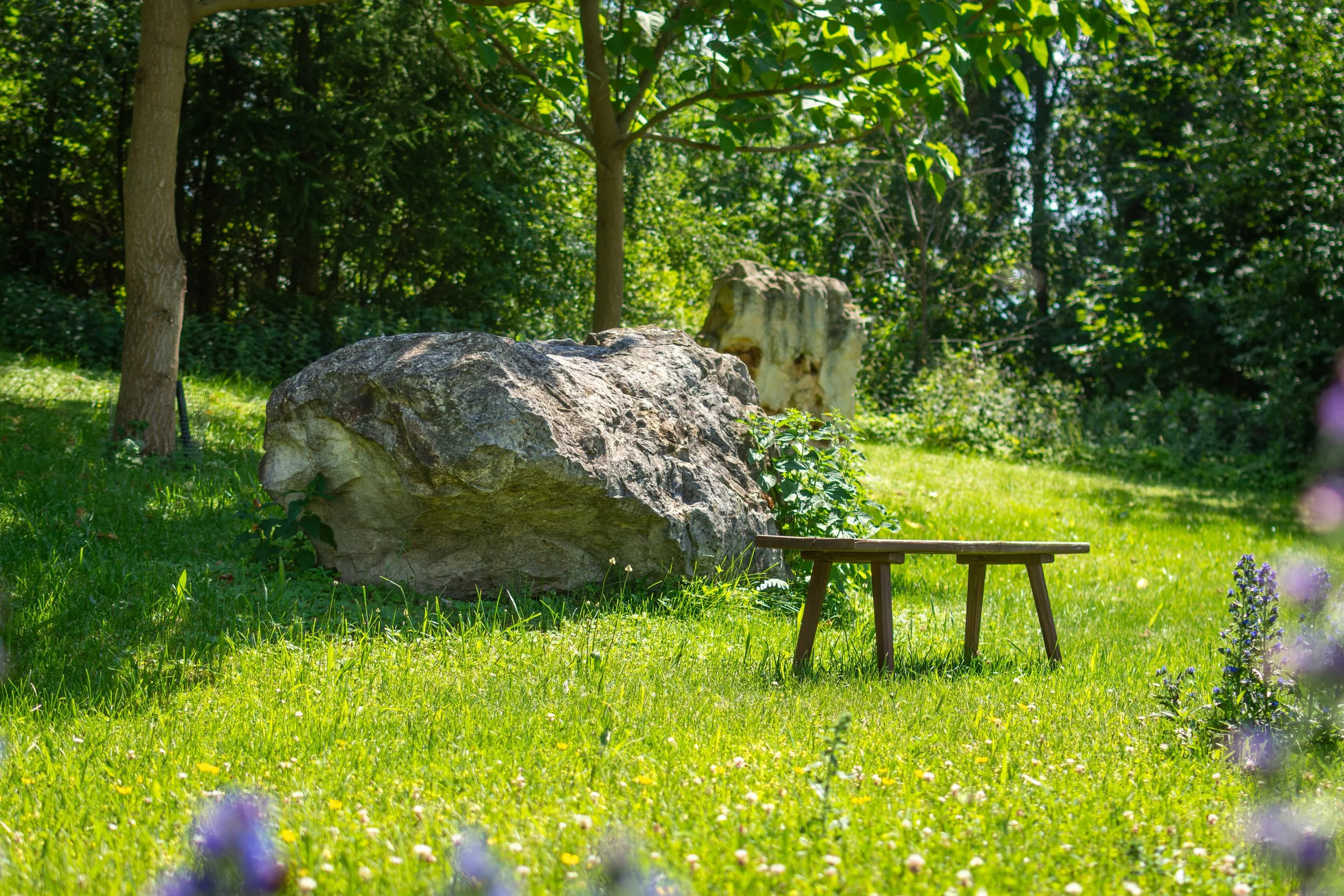 A large rock in a lush green garden with trees, grass, and small purple flowers.