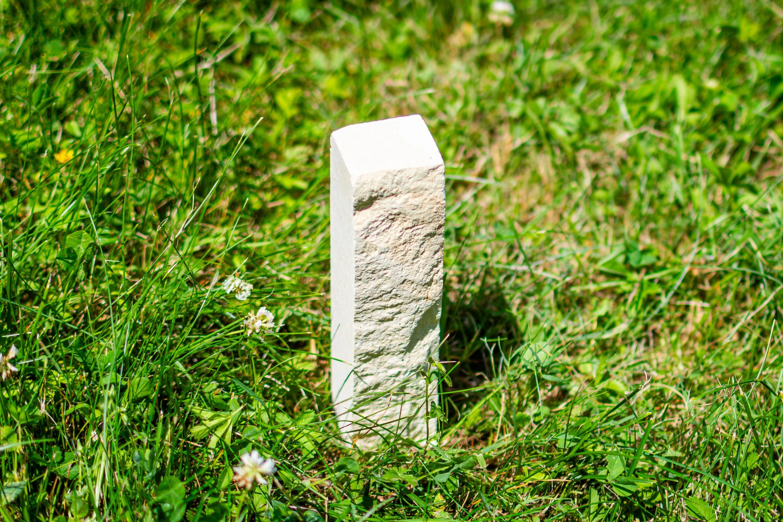 A white stone or concrete post standing upright in a grassy field with small white and yellow flowers.