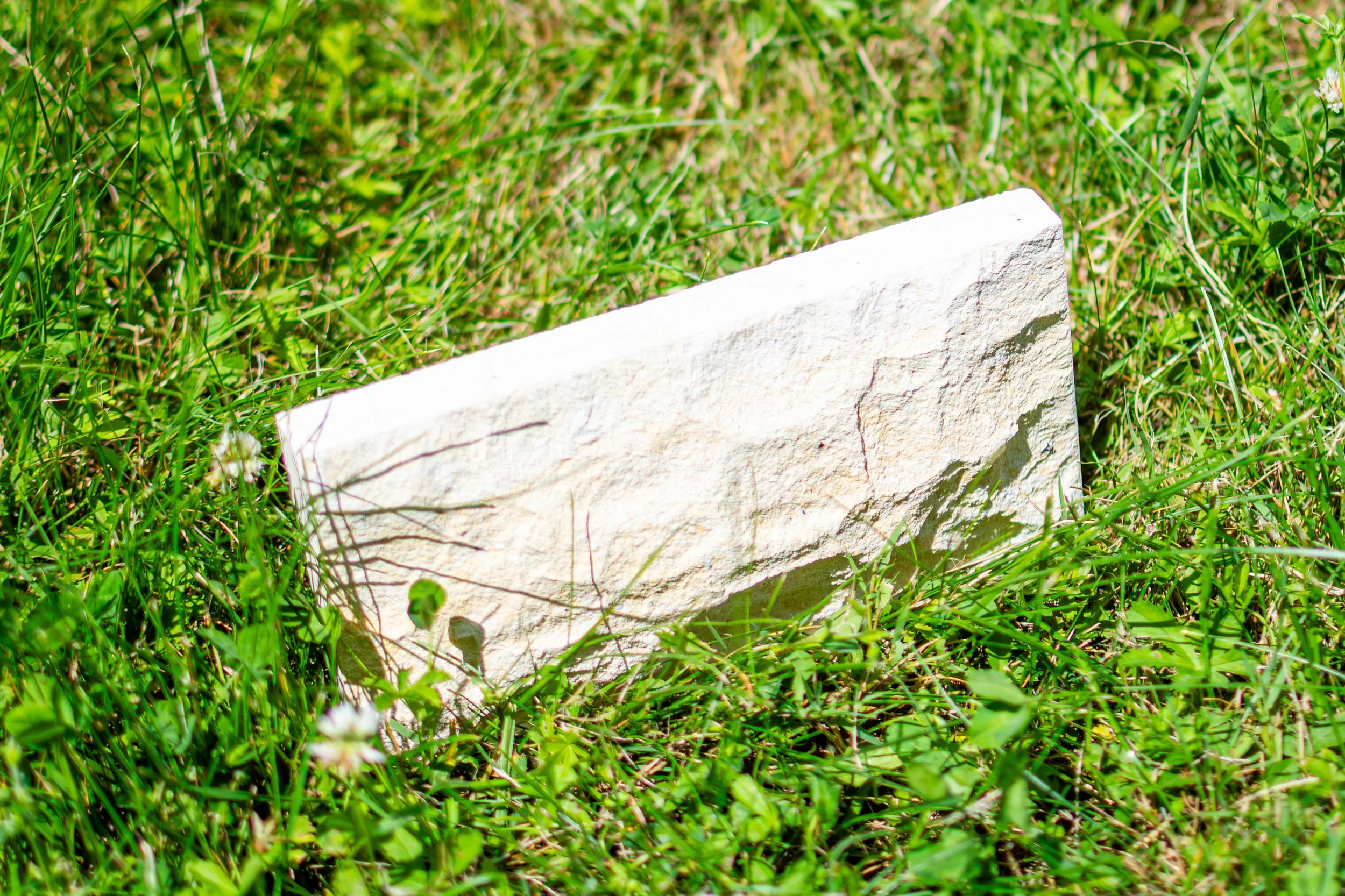 A white stone memorial plaque in a grassy area with various green plants and small white flowers.
