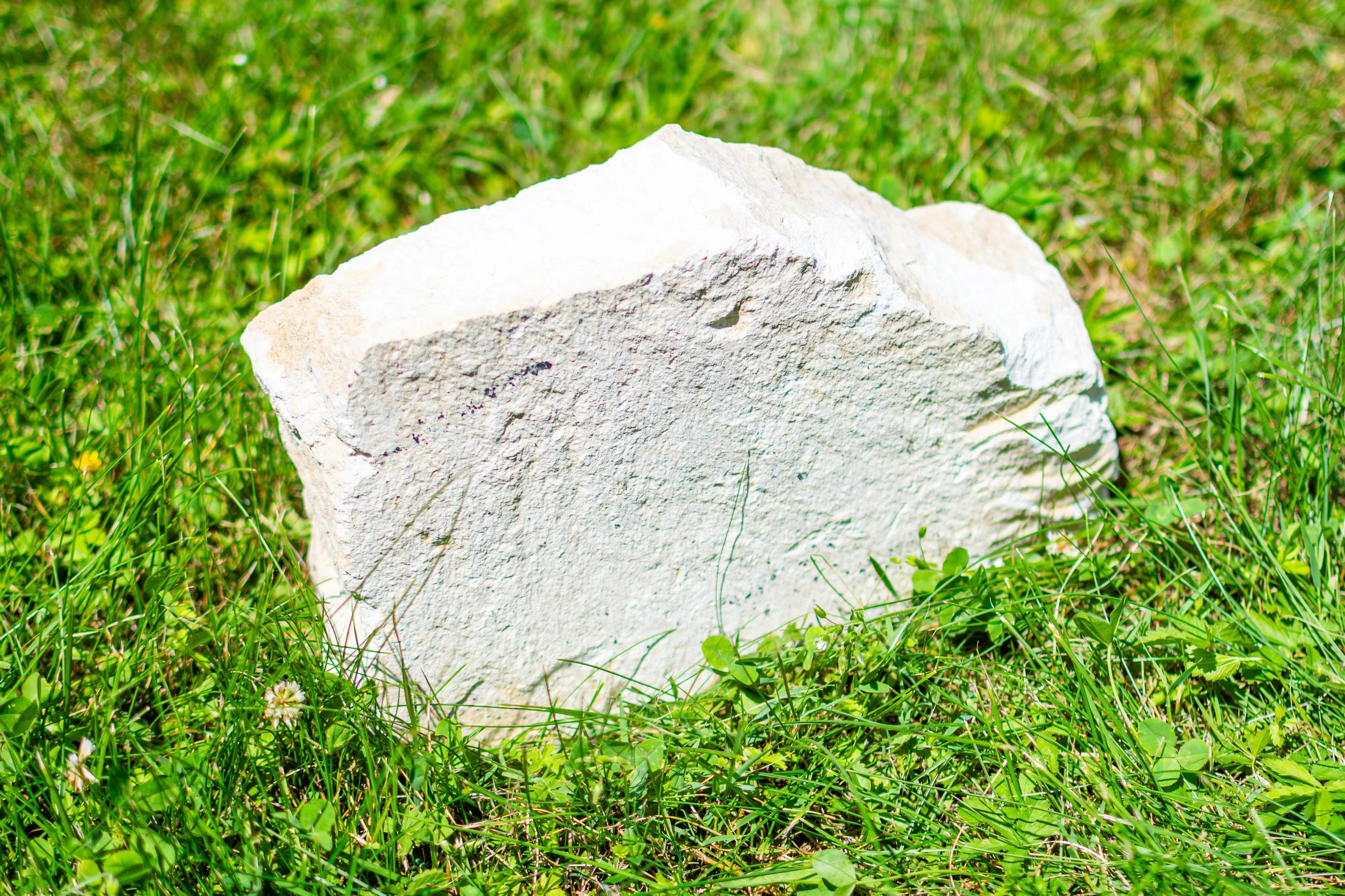 A white rock on green grass with small white flowers.