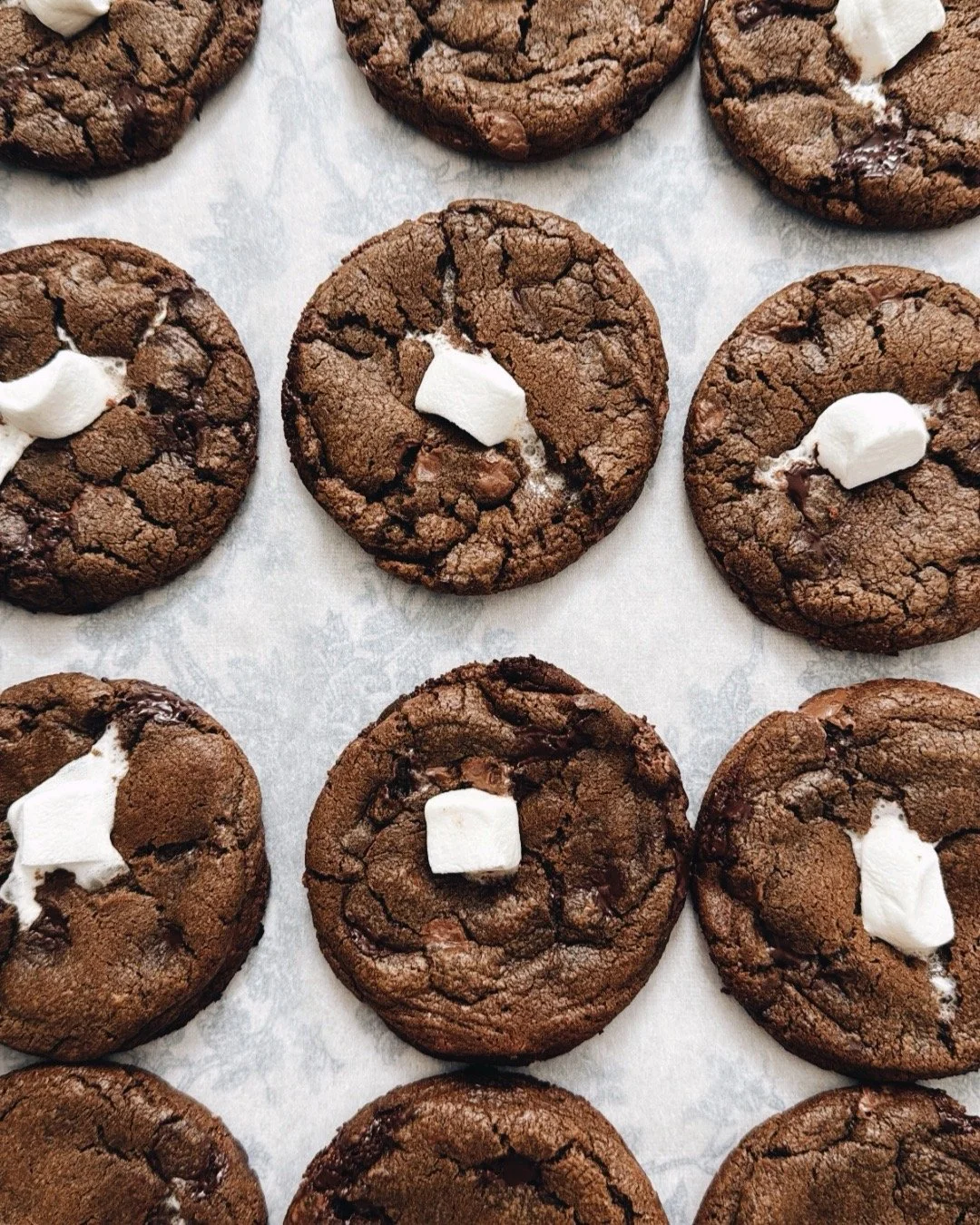 Chocolate cookies with marshmallows on top, arranged on parchment paper.