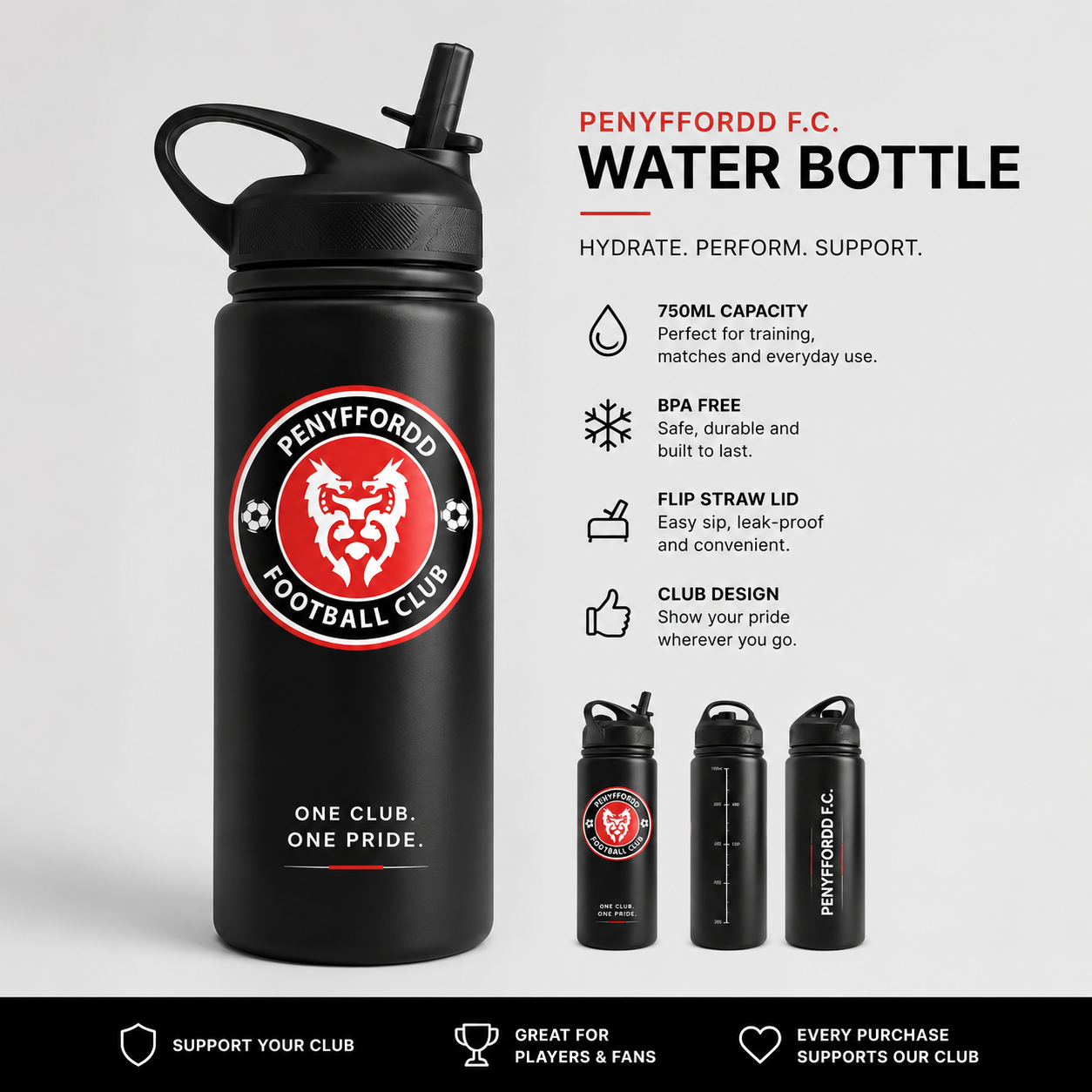 Penyffordd FC Water bottle