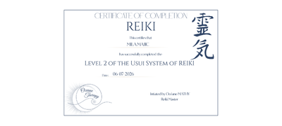 Reiki certification document for level 2 of the Usui System of Reiki with Japanese characters and official seals.