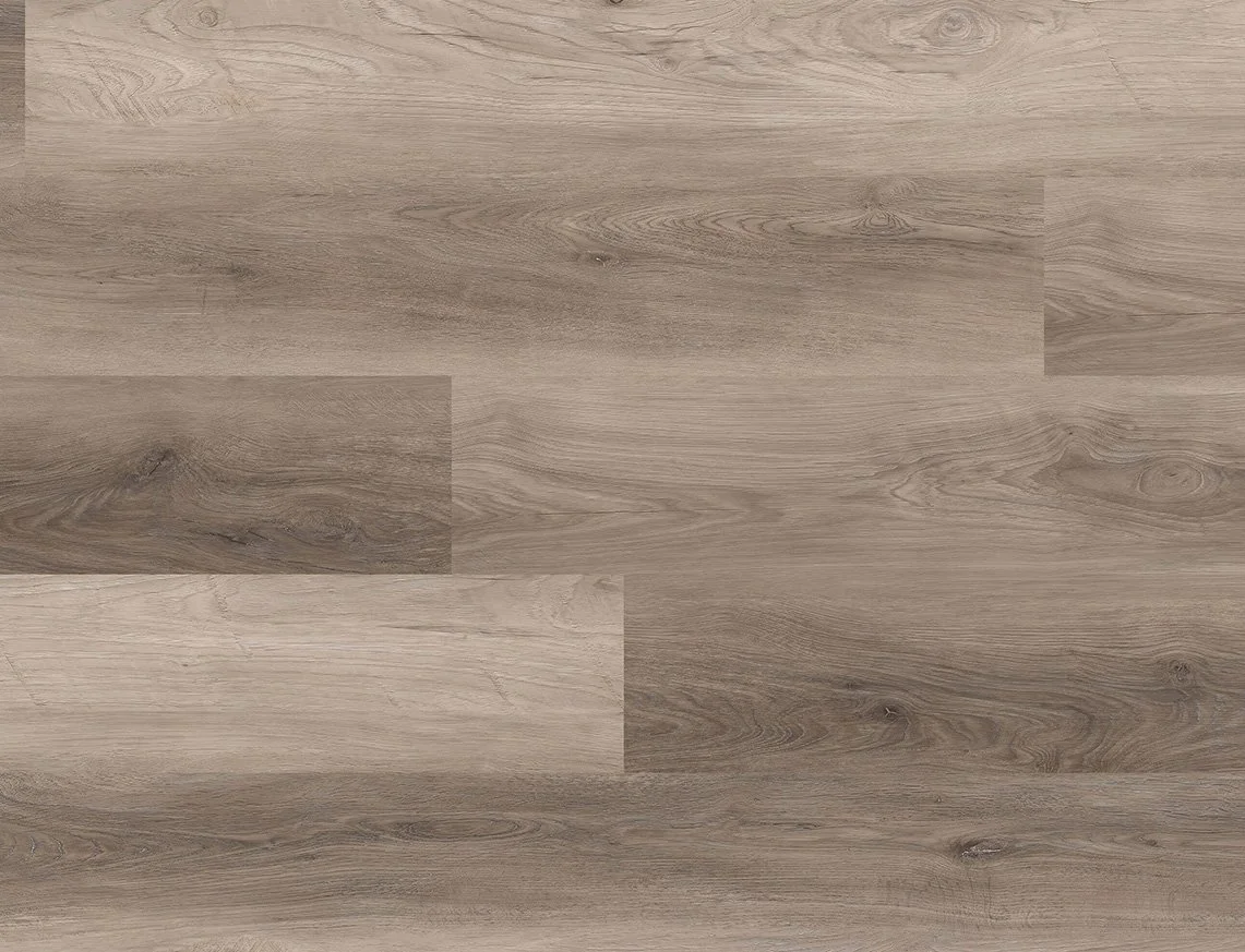 RhossiliOak_Overhead.jpg