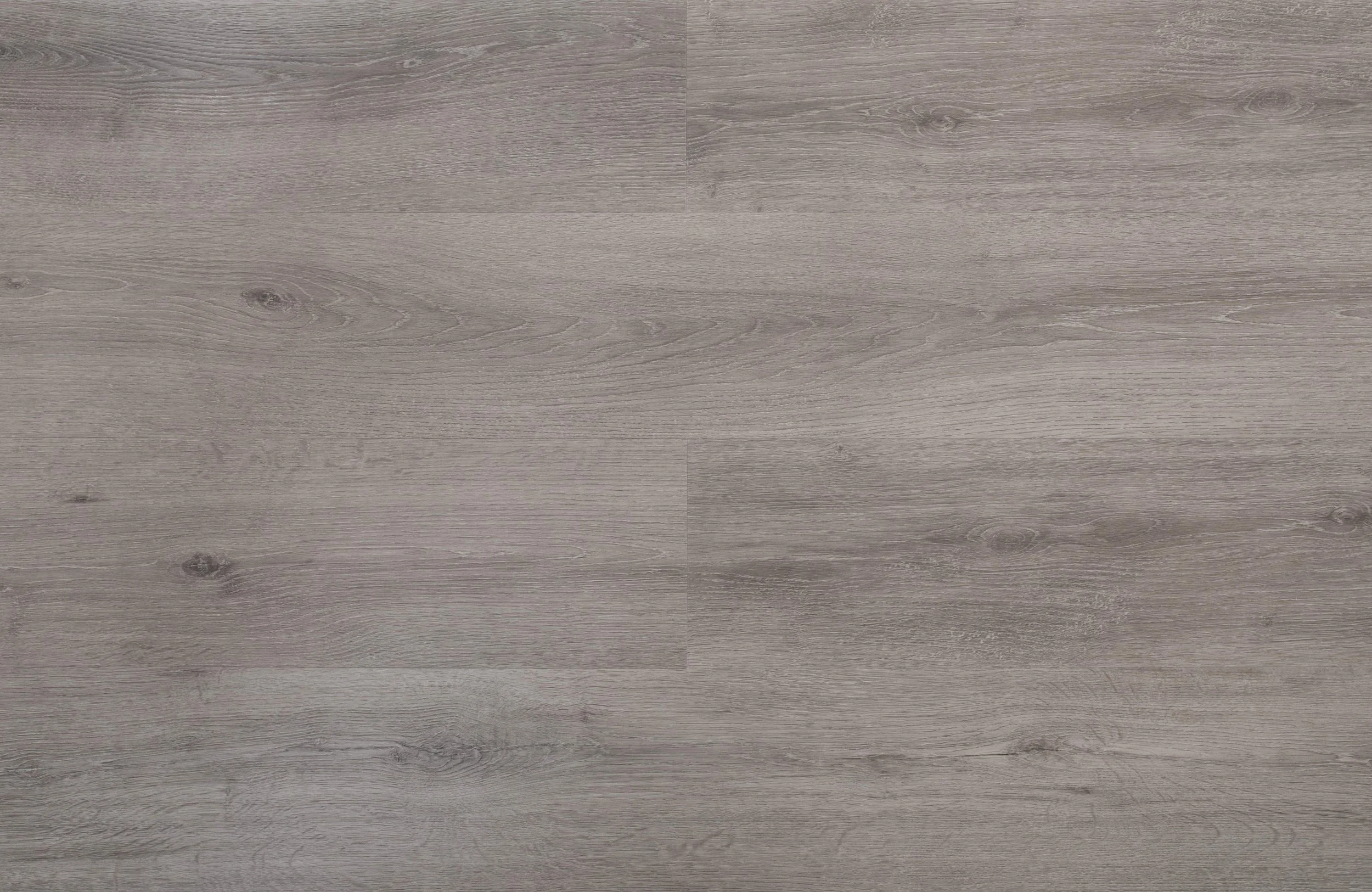 Penshurst Oak_overhead.JPG