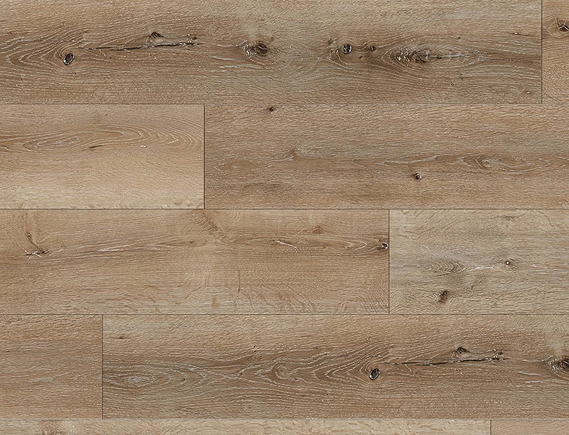 HolkhamOak_Overhead.jpg