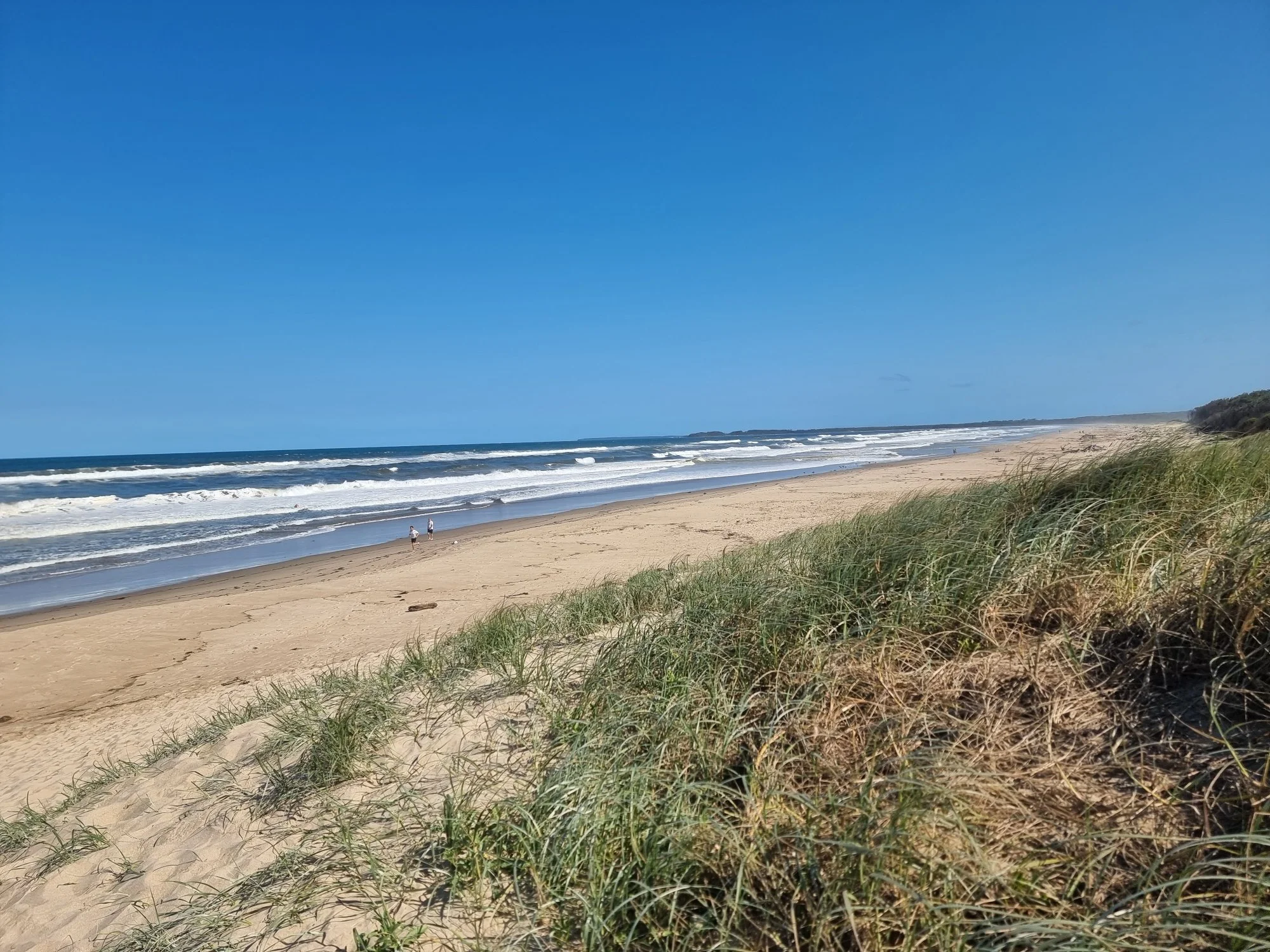 A sandy beach with ocean waves and a clear blue sky, with some small figures walking along the shoreline and dunes with grasses in the foreground.
