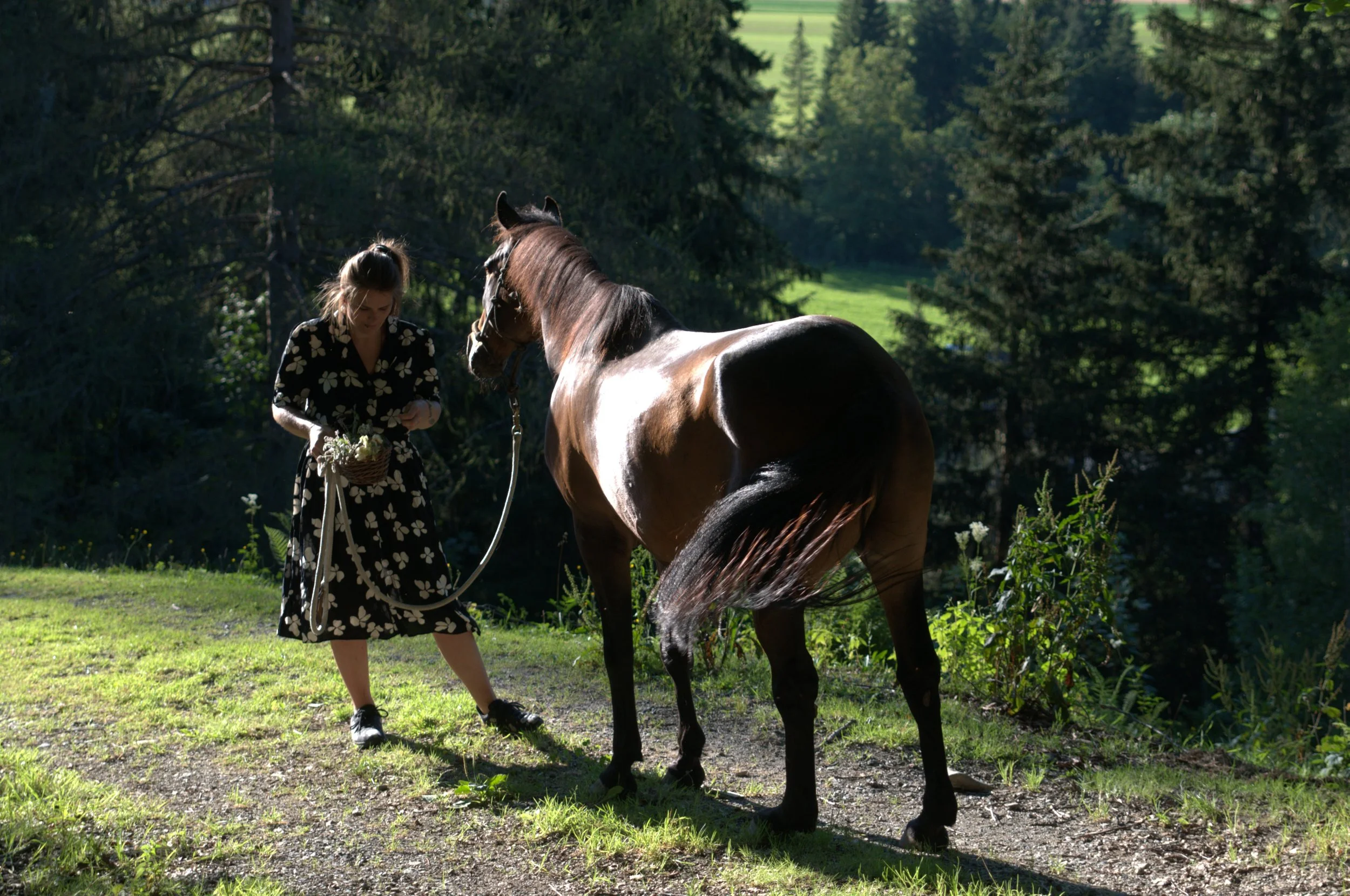 Frau in einem schwarzen Kleid mit weißem Blumenmuster, die eine Kräuter in einem Körbchen hält, neben einem braunen Pferd im Grünen, umgeben von Bäumen.