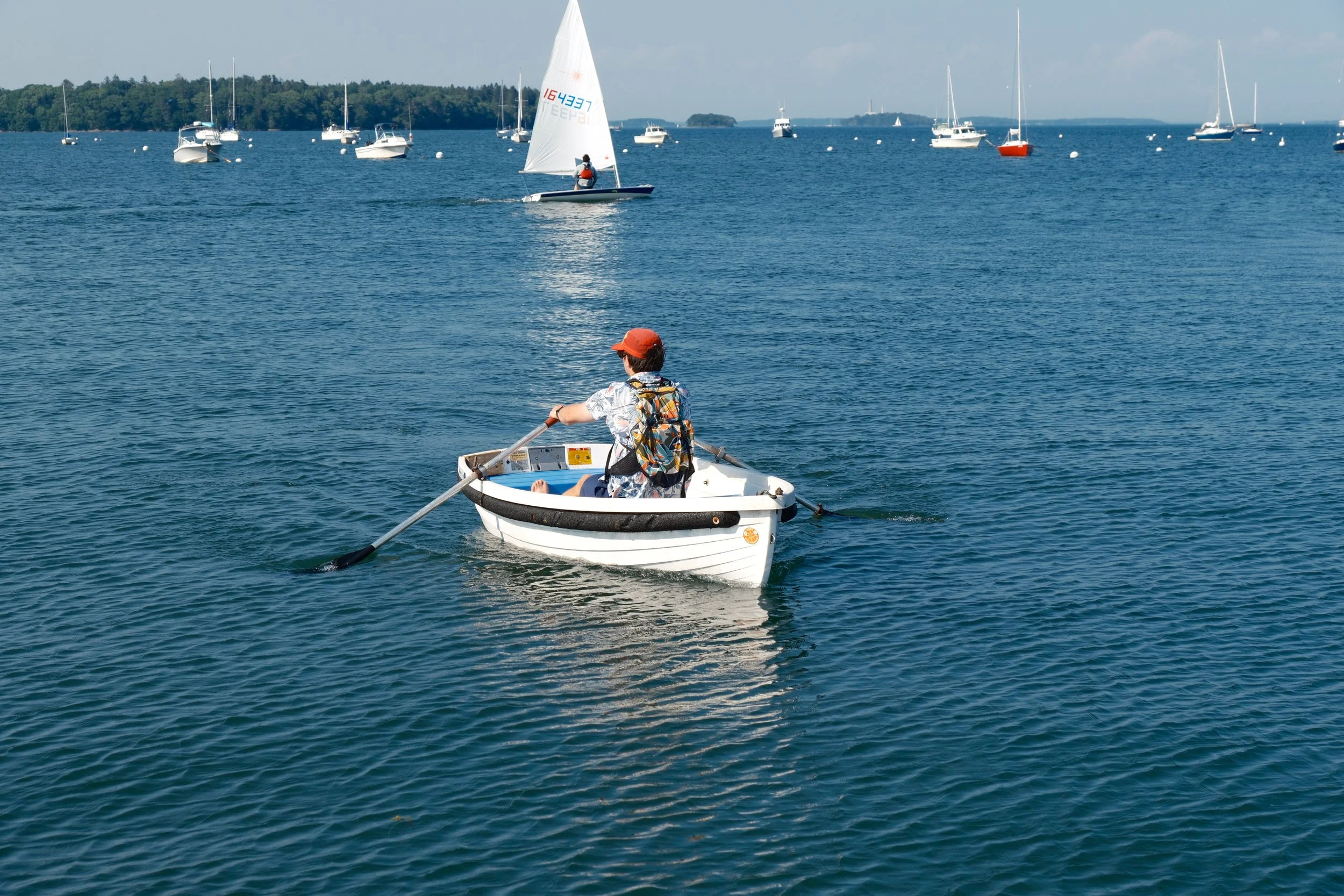 A person sailing on a small boat in a body of water with multiple sailboats and yachts in the background.