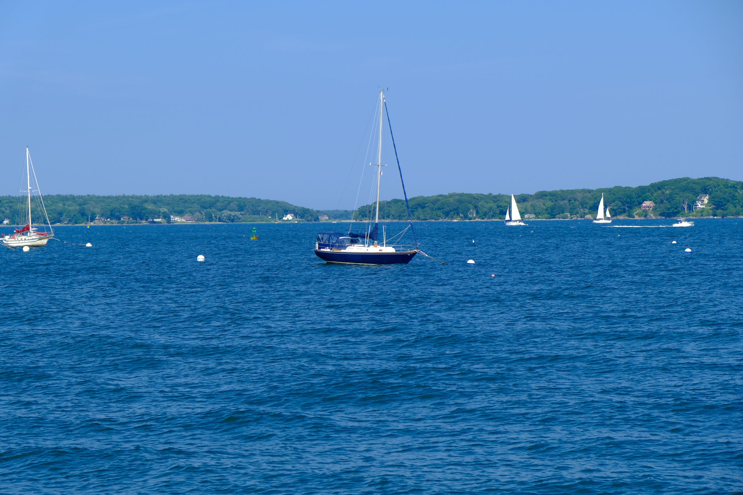 A blue body of water with sailboats, including one large sailboat in the foreground and several smaller sailboats in the background, with a green, tree-covered shoreline and houses in the distance under a clear, blue sky.